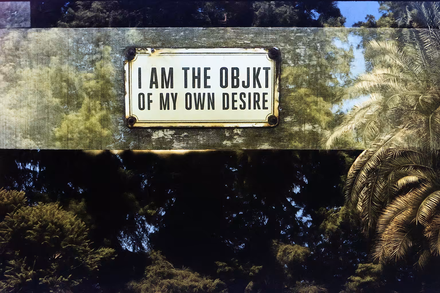The Objkt of Desire