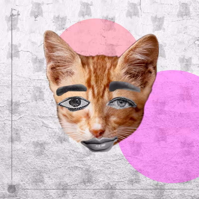 Kittenstein #26