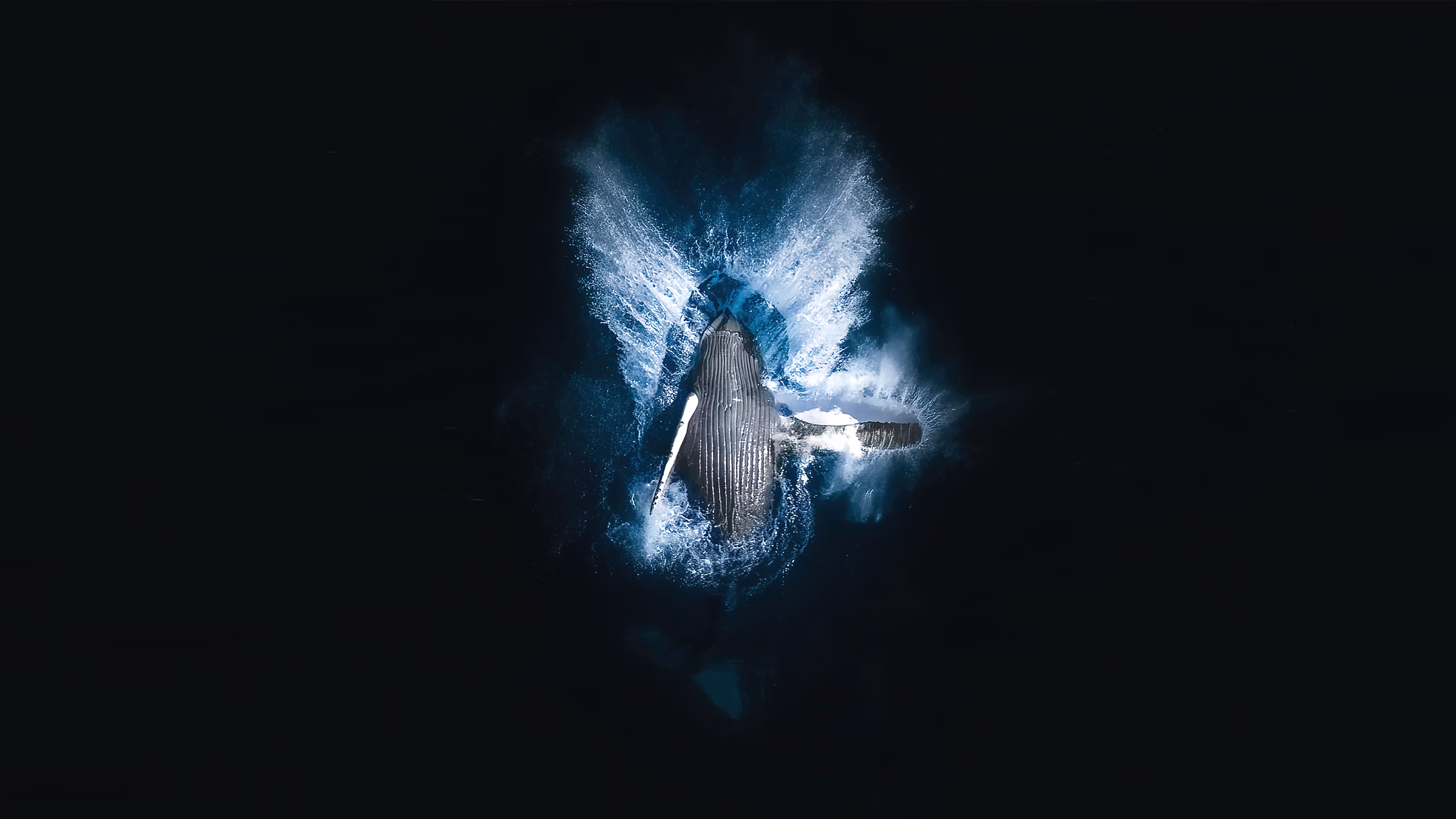 Angel Wings