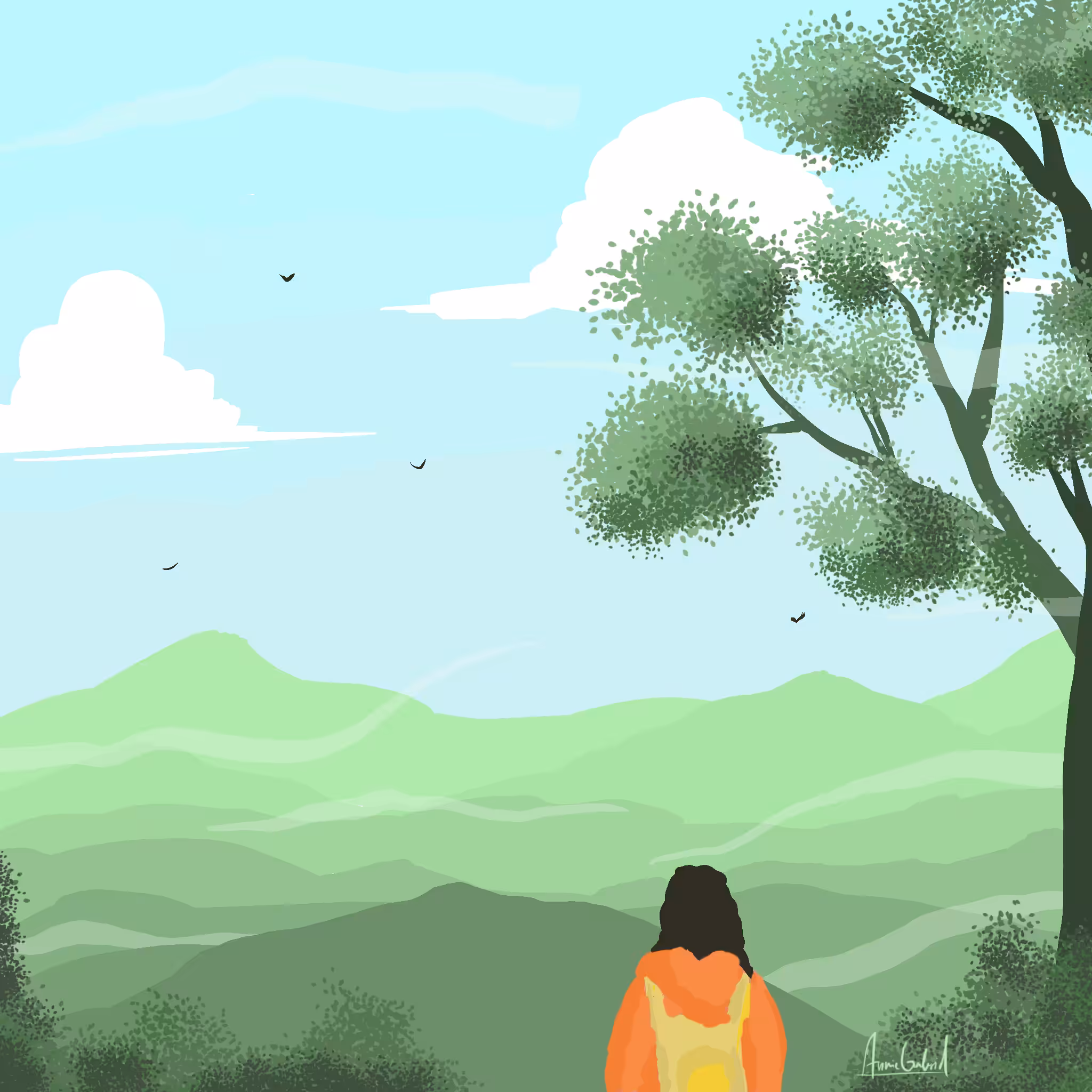 Explore