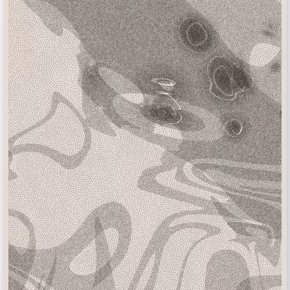 Caustics #216