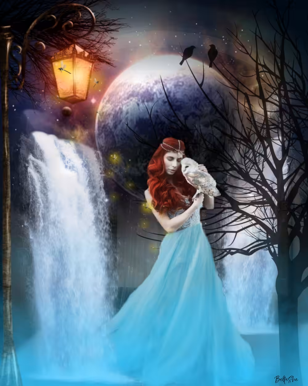 The Empress and The Owl