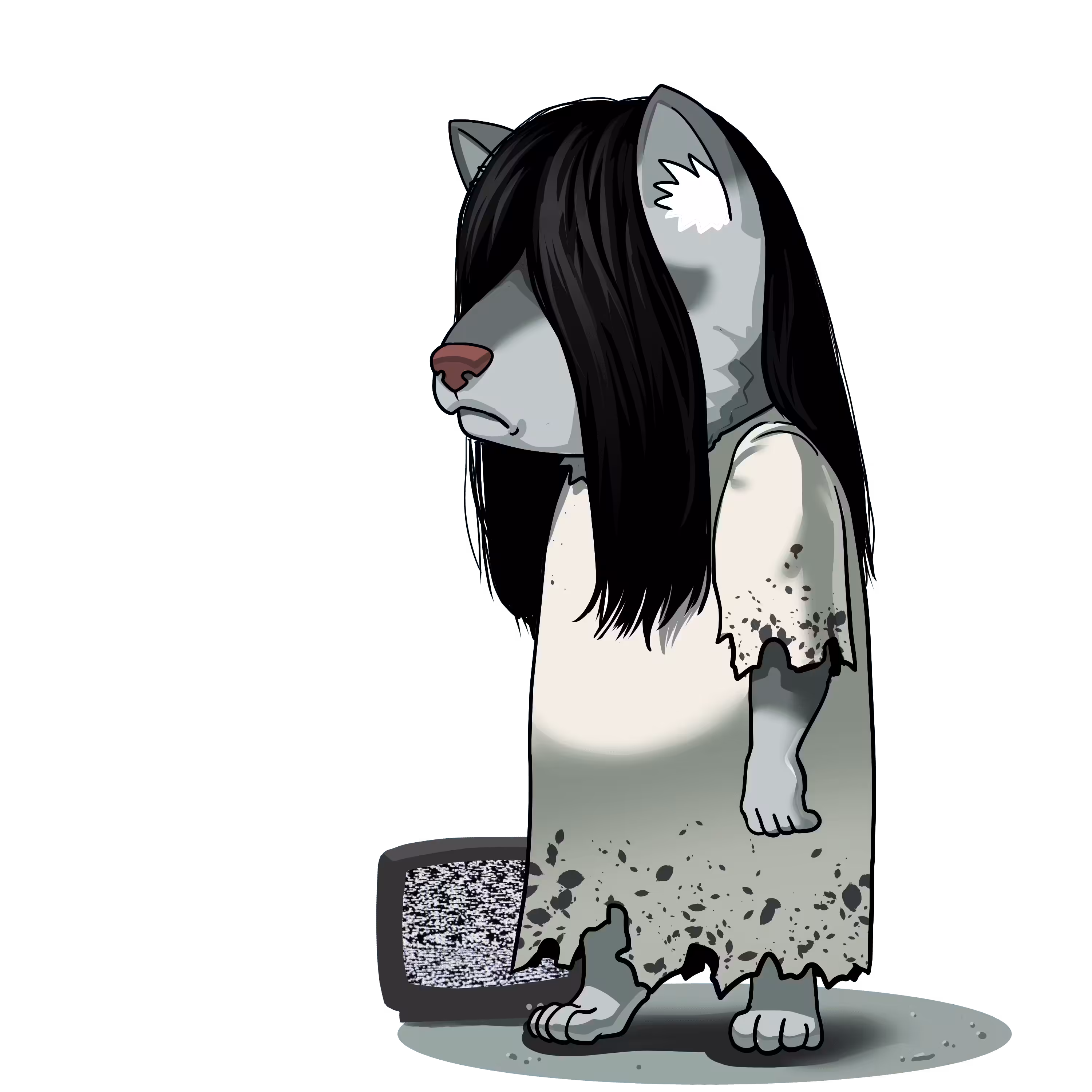The Ring Shibako