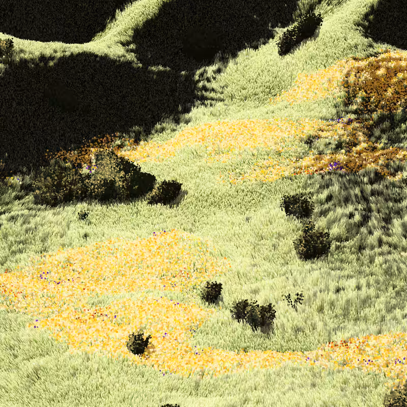 California Hills in Late Sun #192