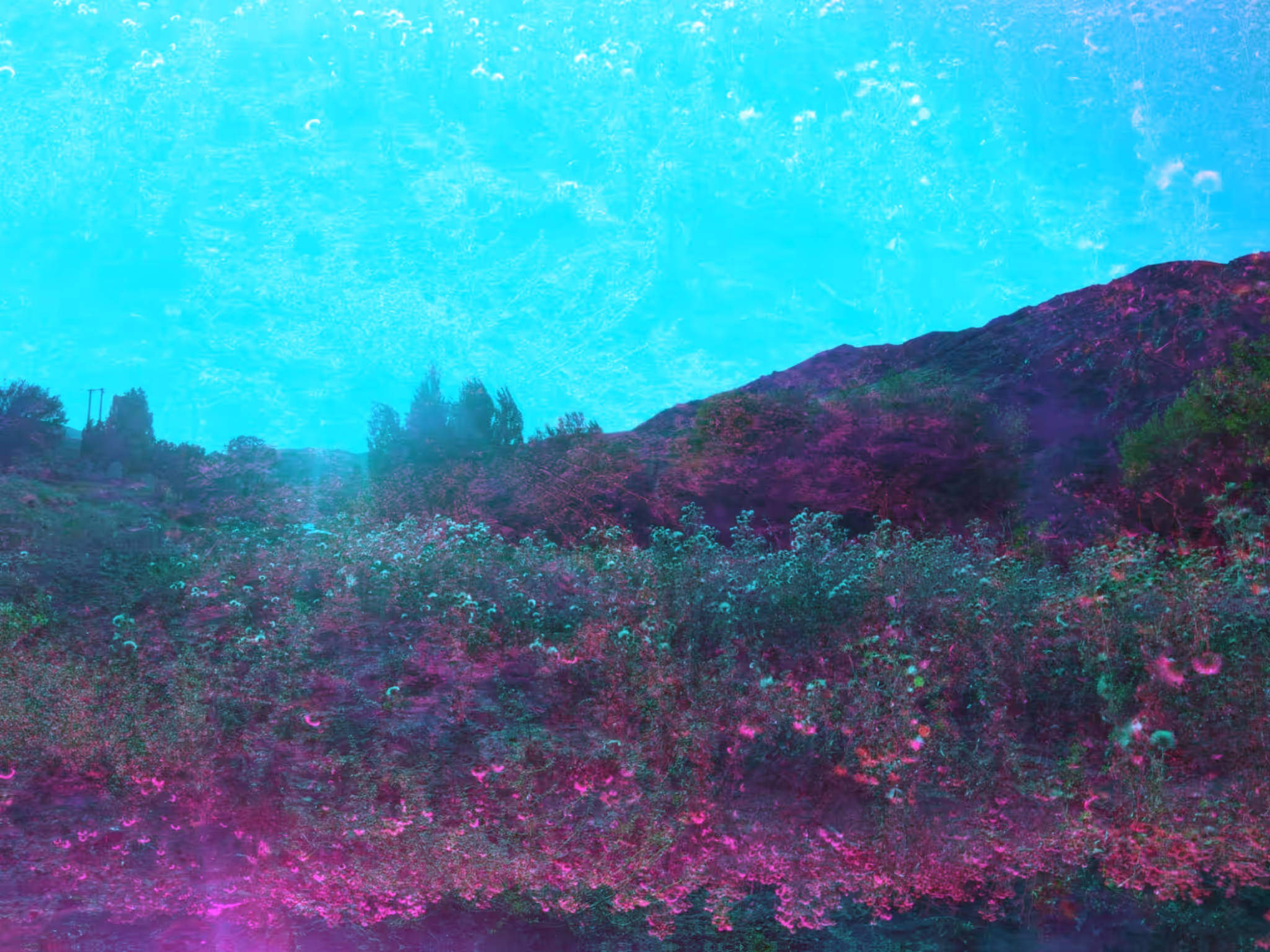 Psychedelic heaven