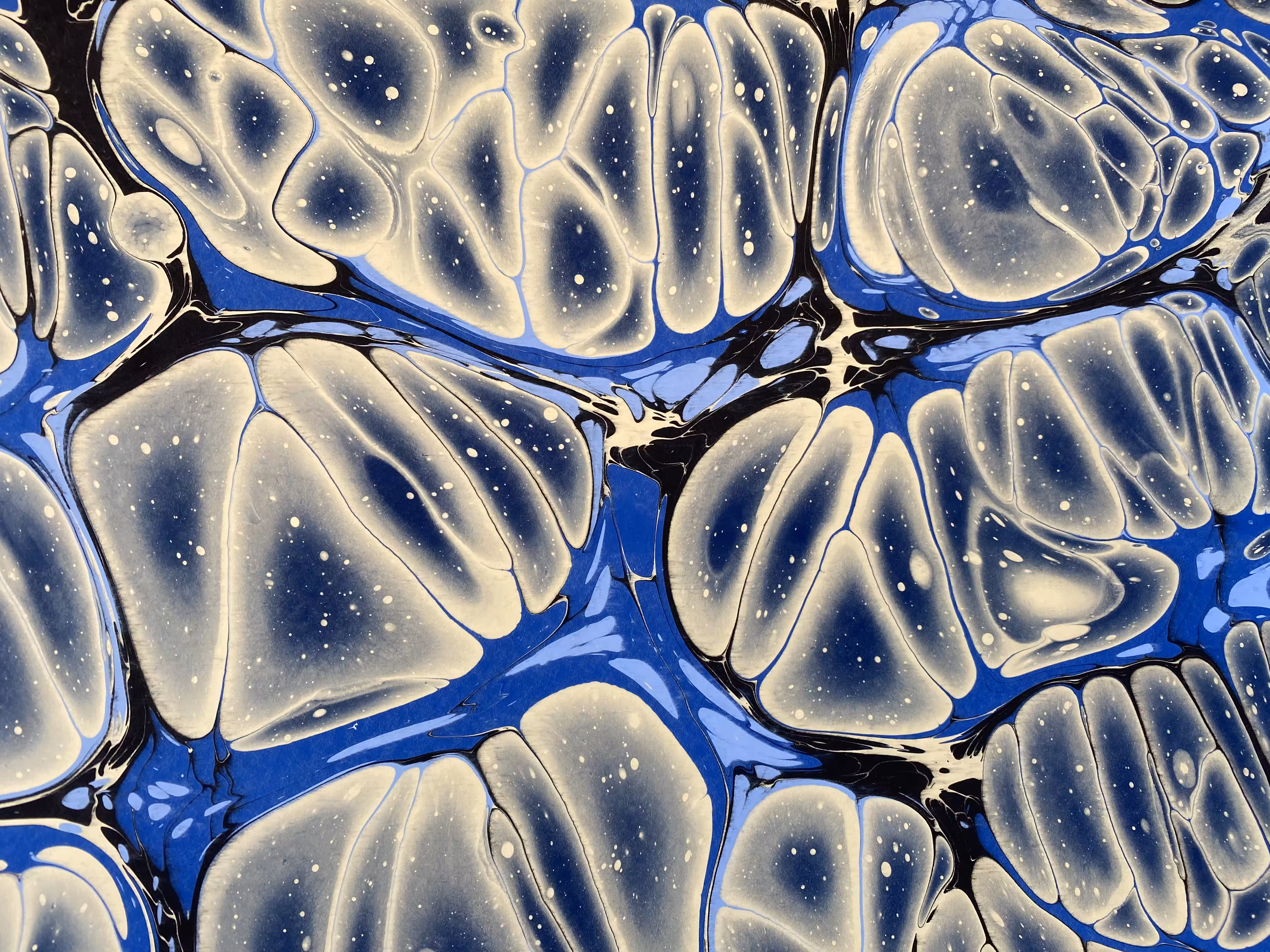 Battal Ebrû / Marbling Art SE #20