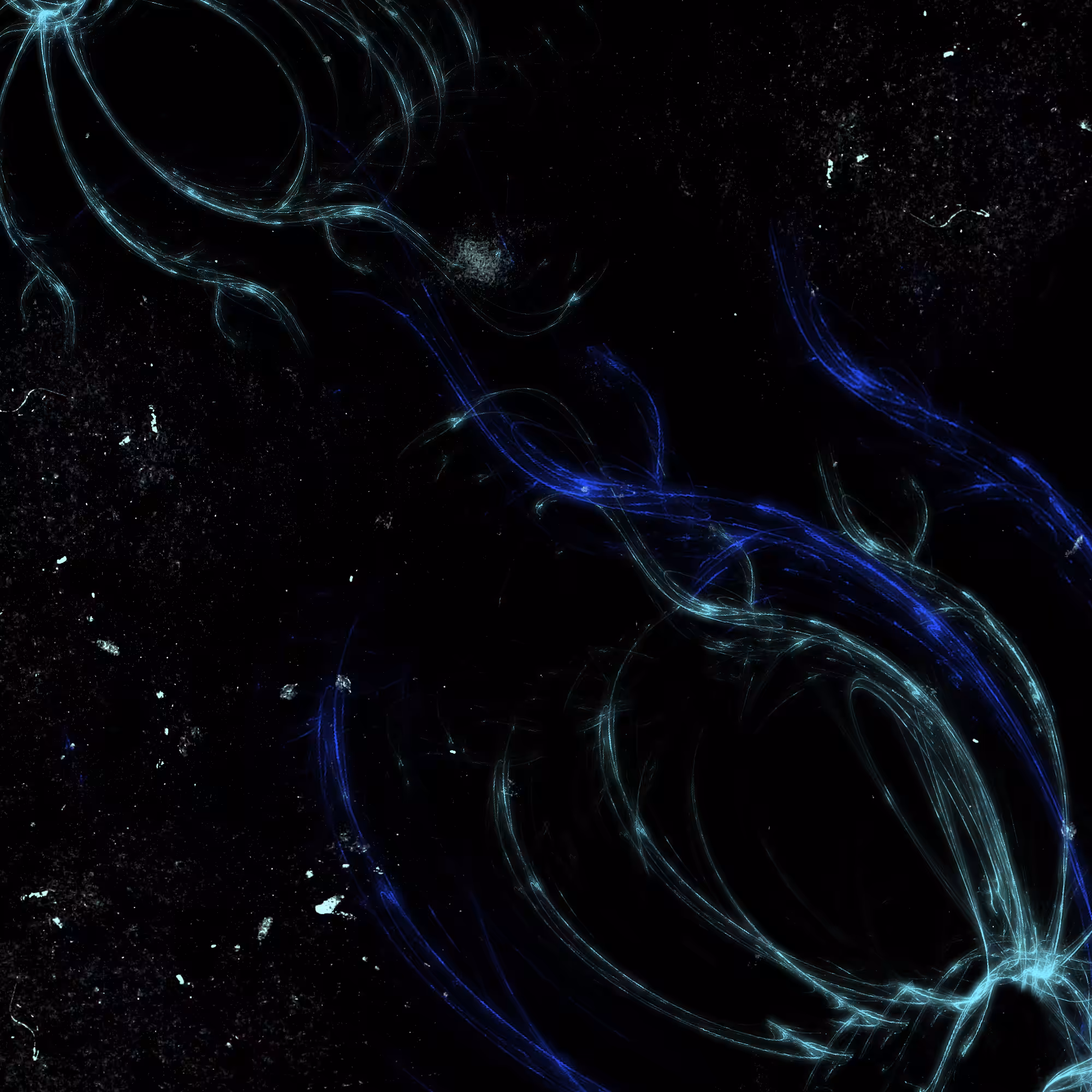 Dark Matter | Kappa