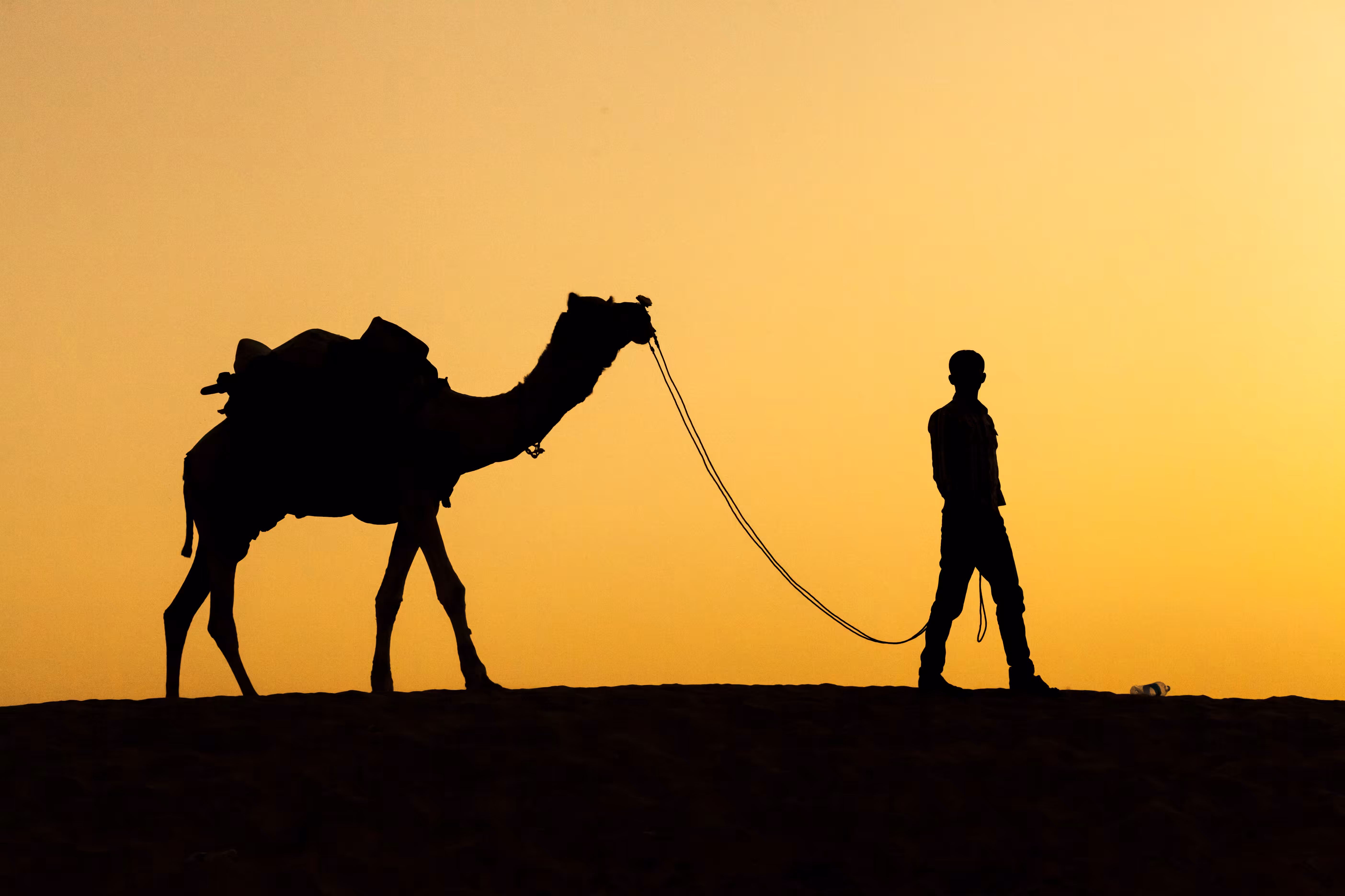 Camel Herder