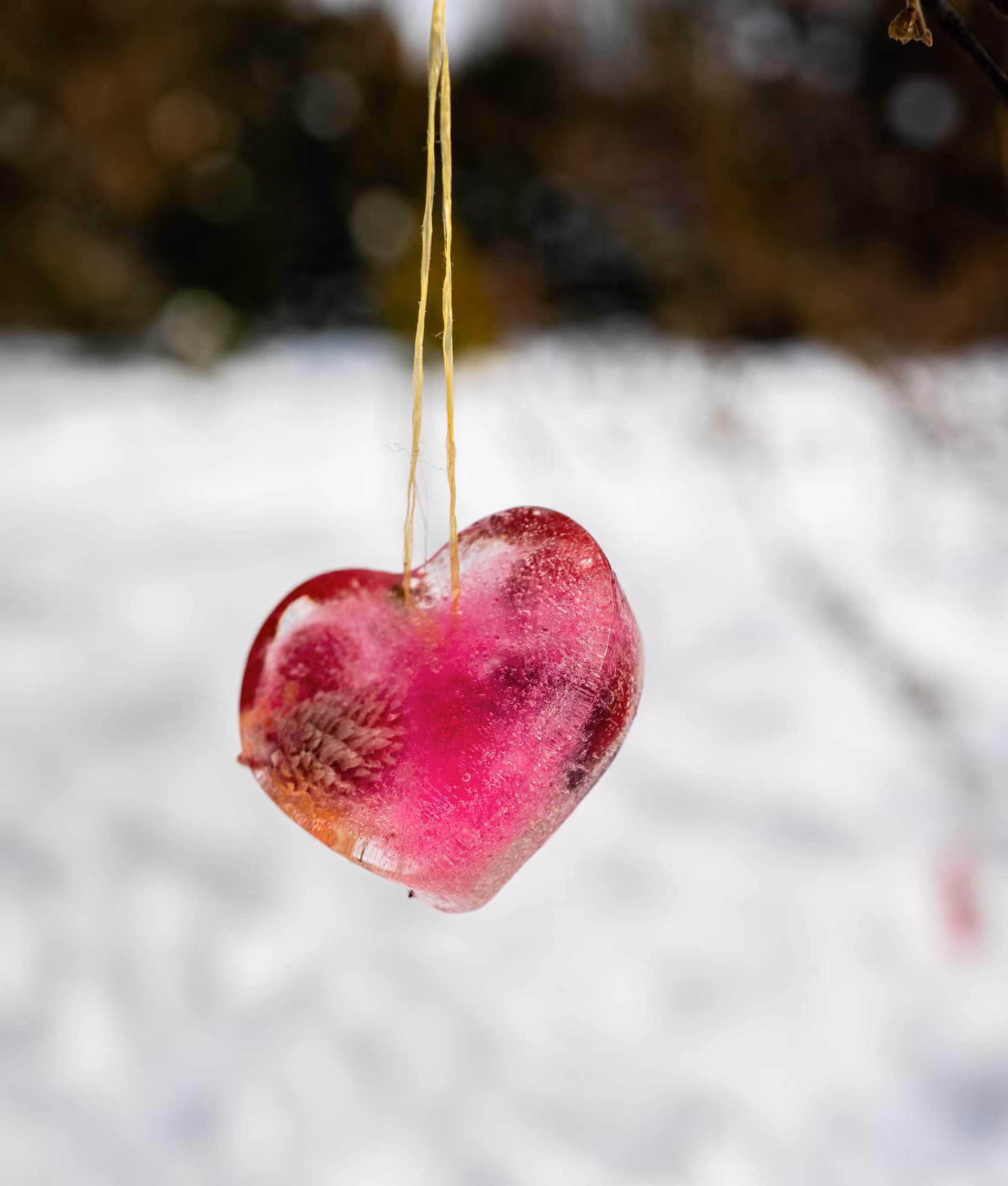 HeartIt!