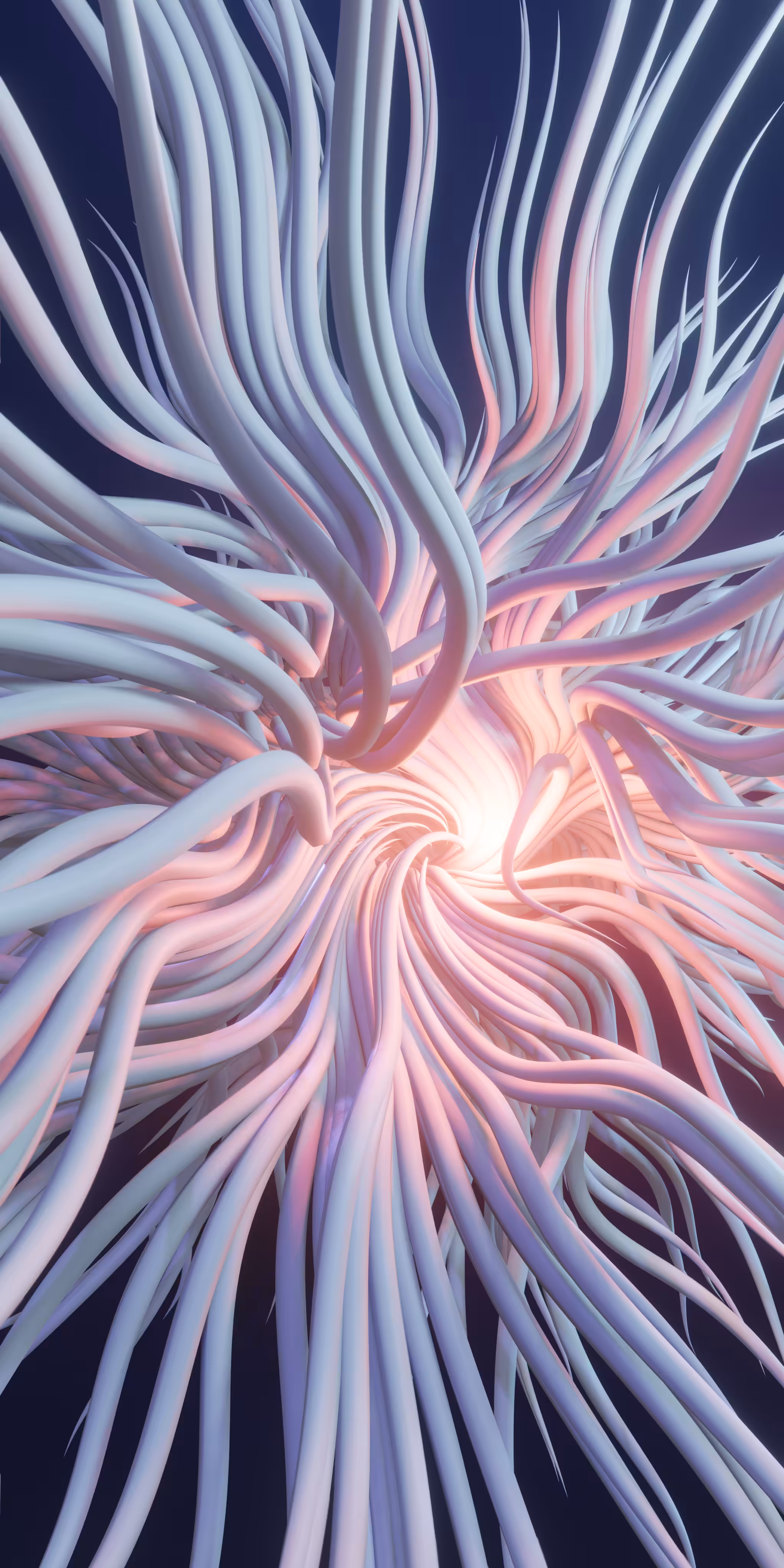 Portrait Thomas Attractor