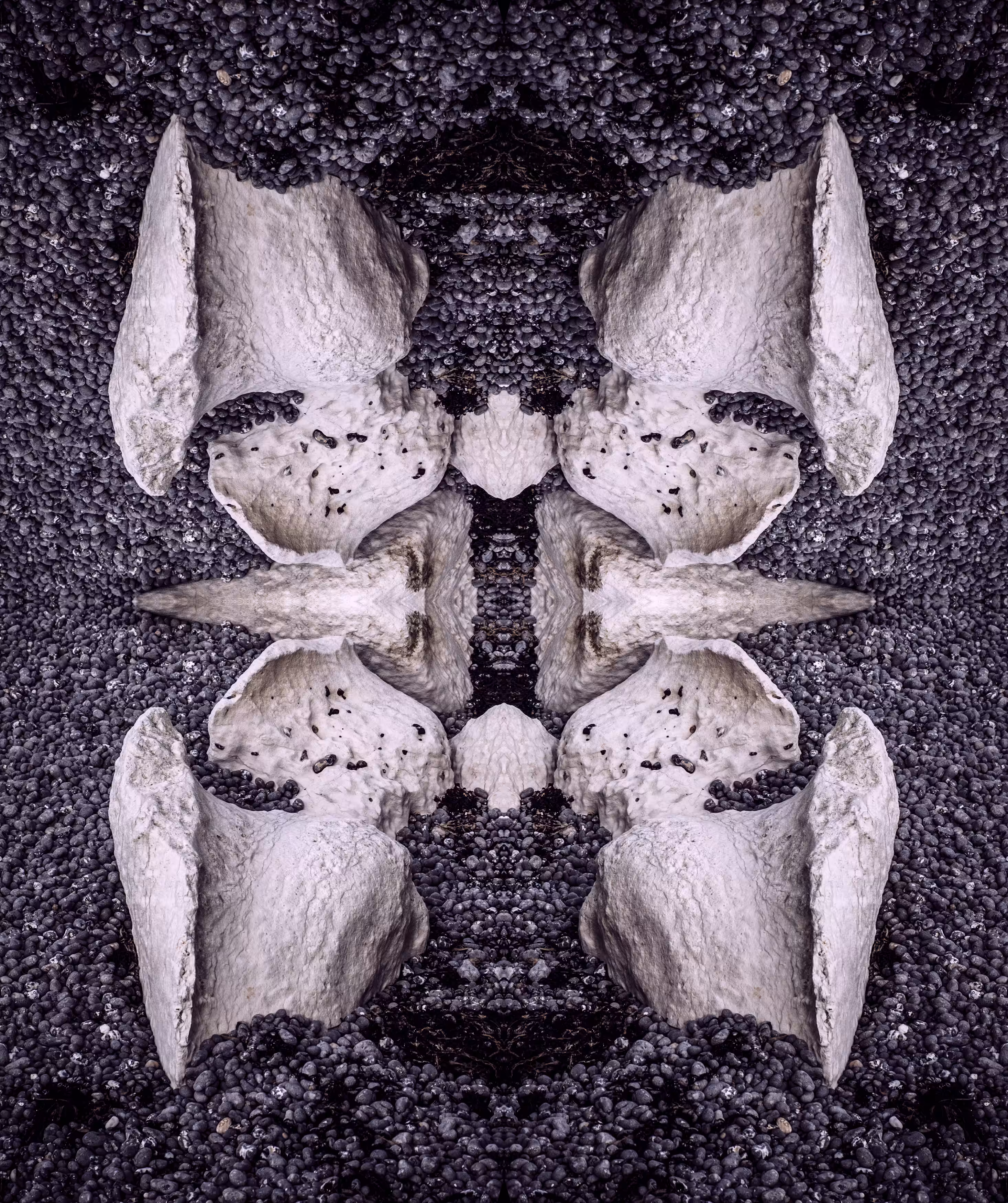 Relic #0328