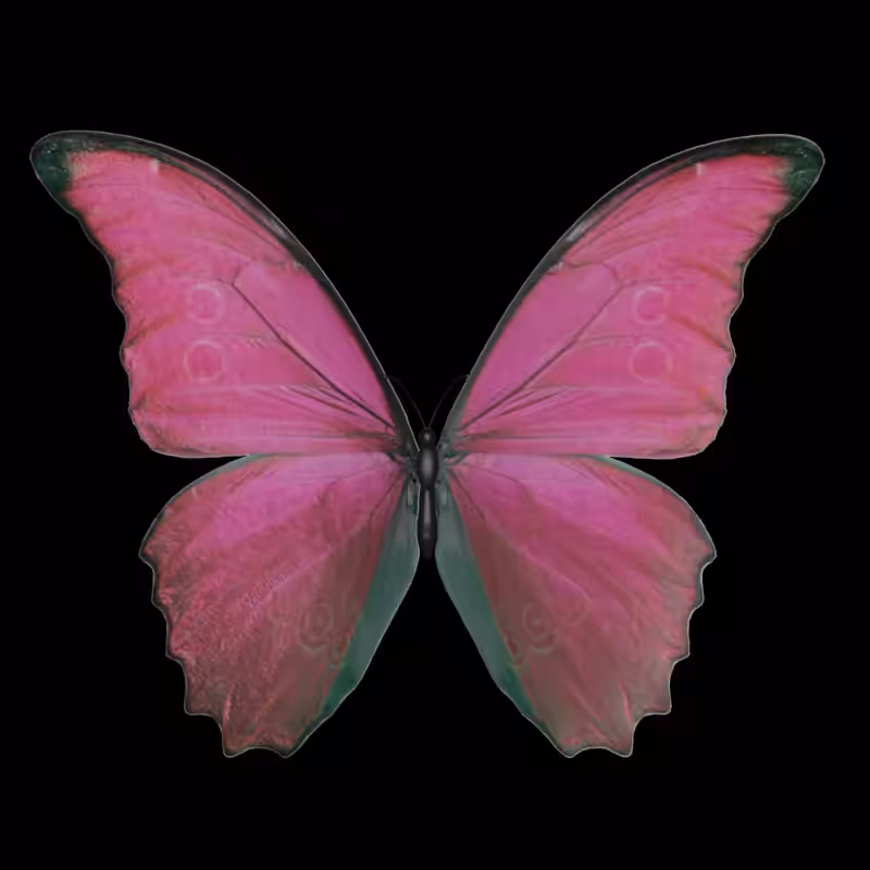Butterfly #2