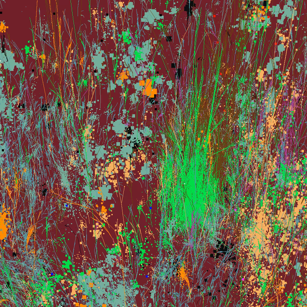 Infinite Garden: 22921 Flowers