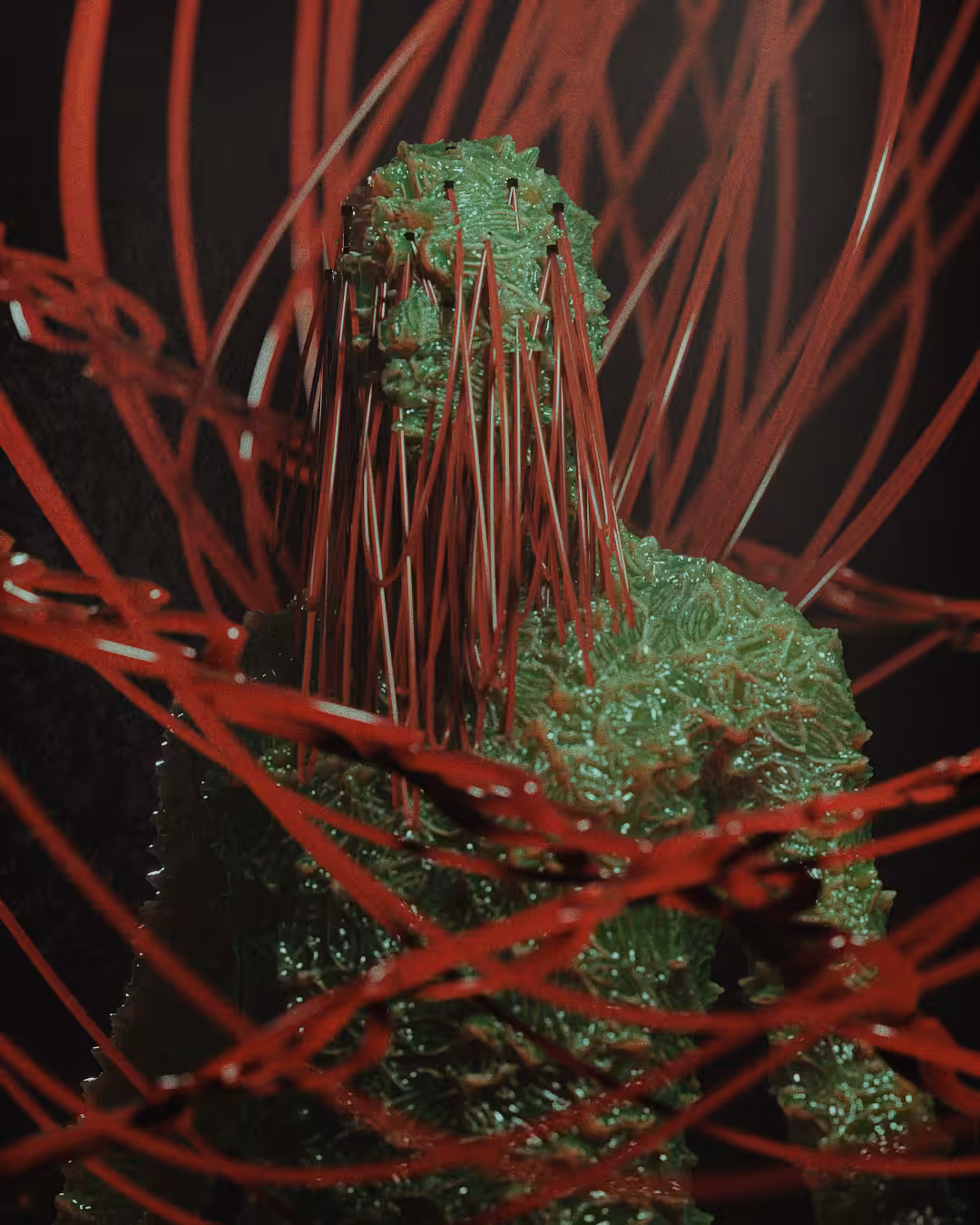 Wired in Red