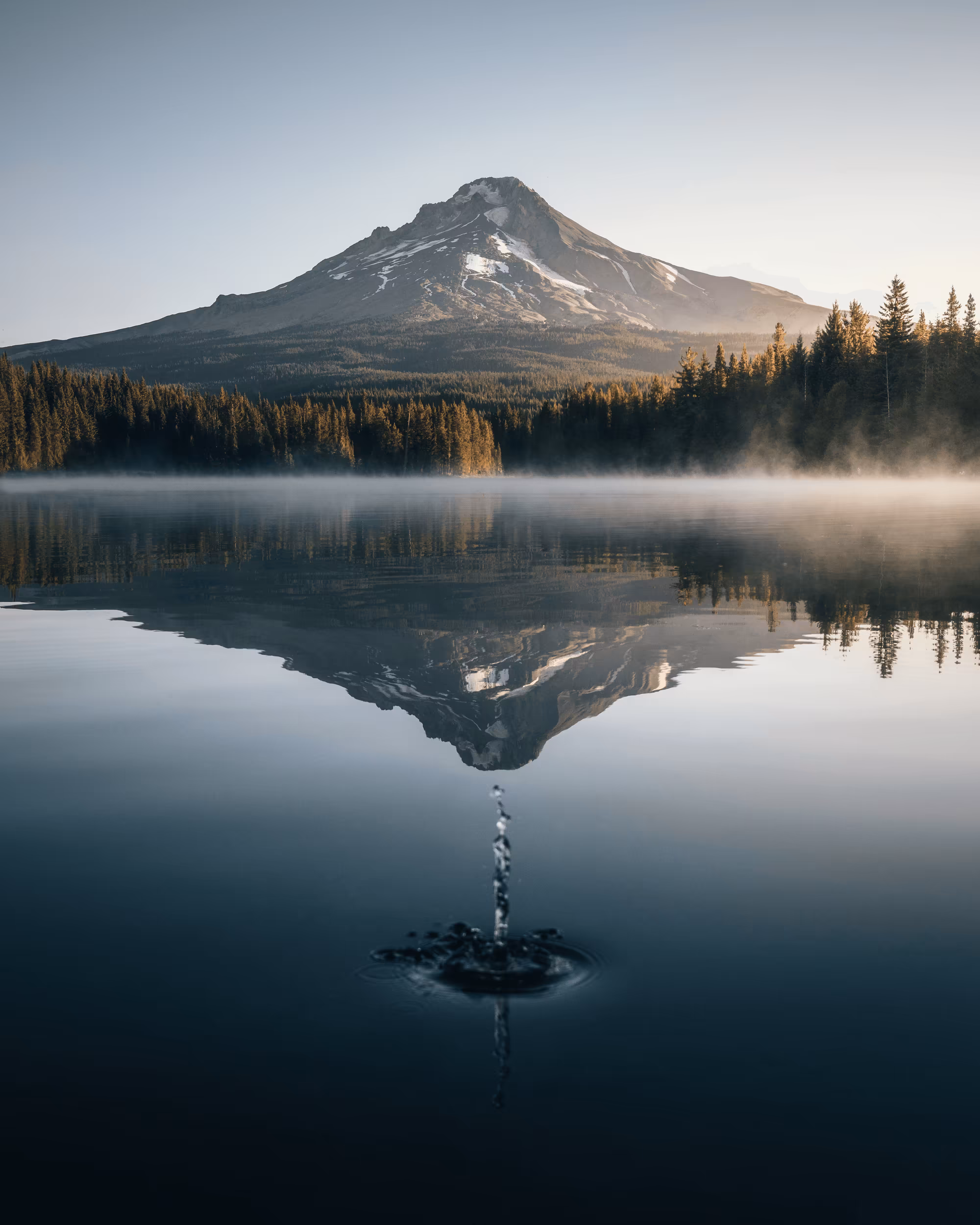 Trillium Drops