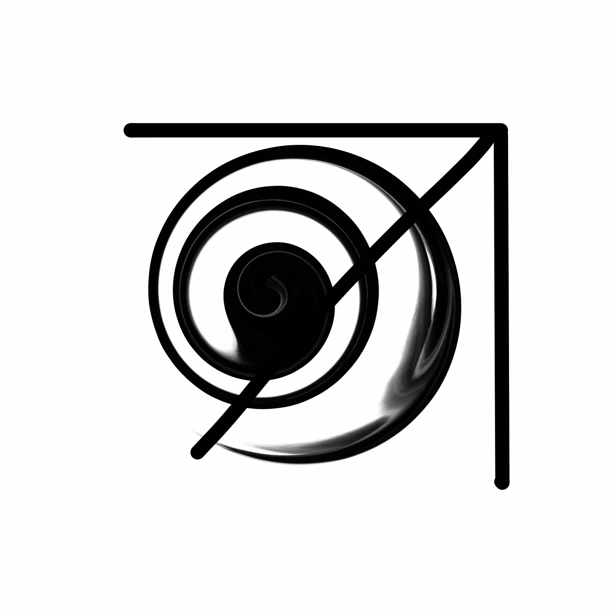 DS011