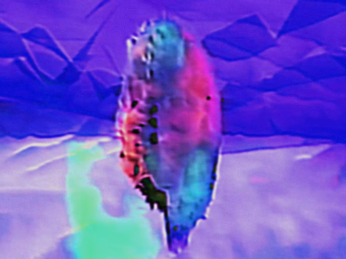 __shell_shard__
