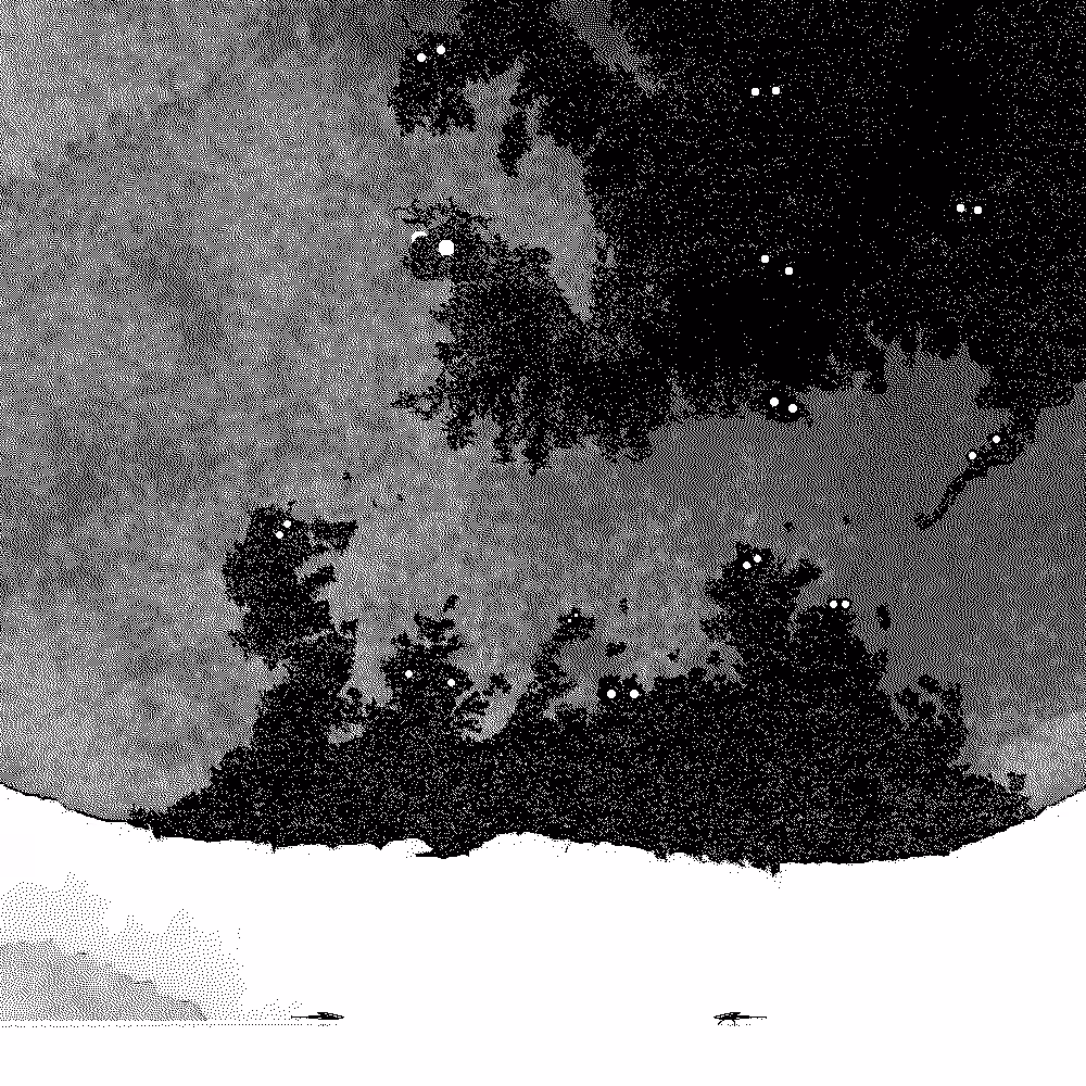 The Encounter