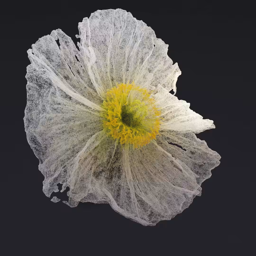 Just a flower VI