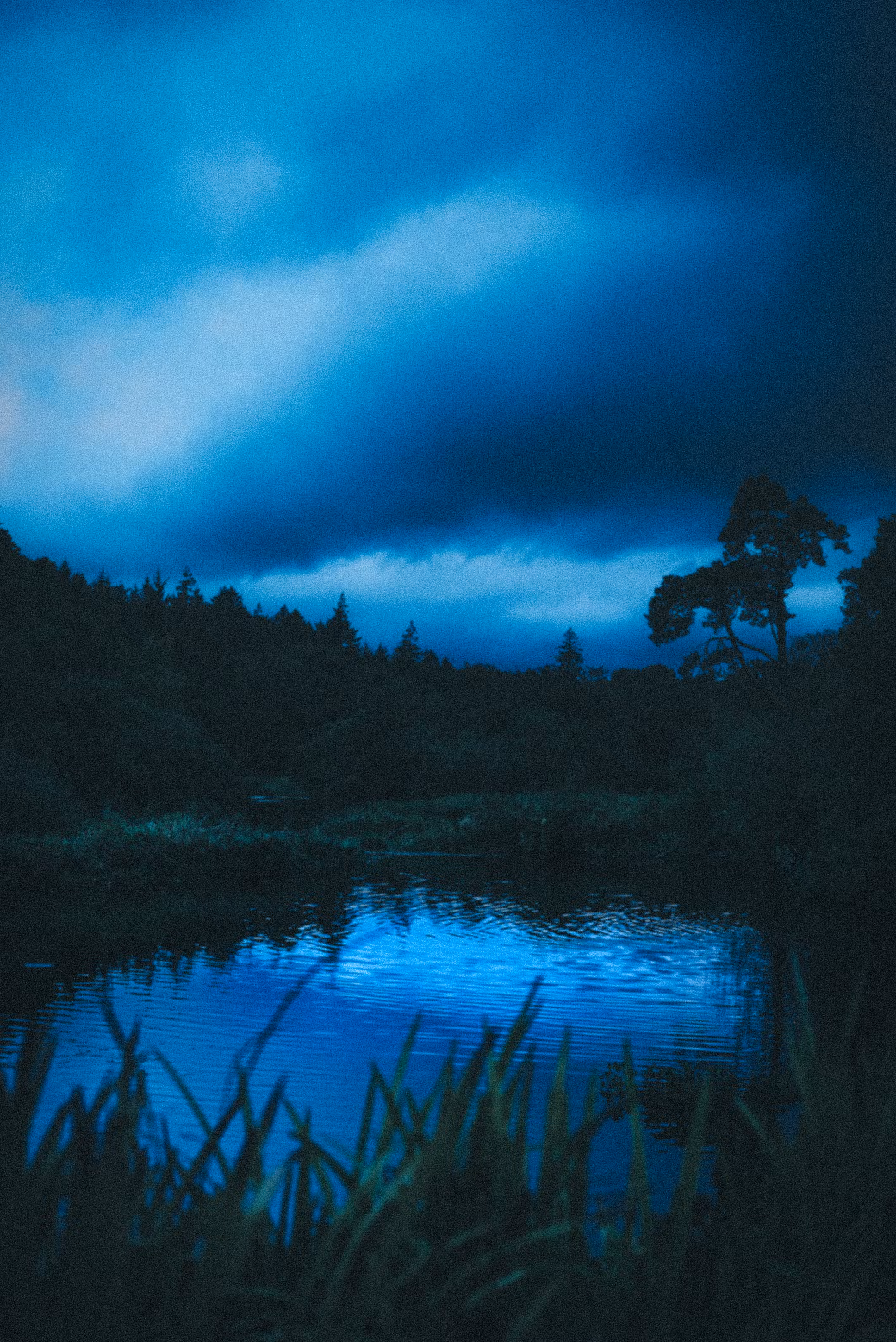 lost in the waves