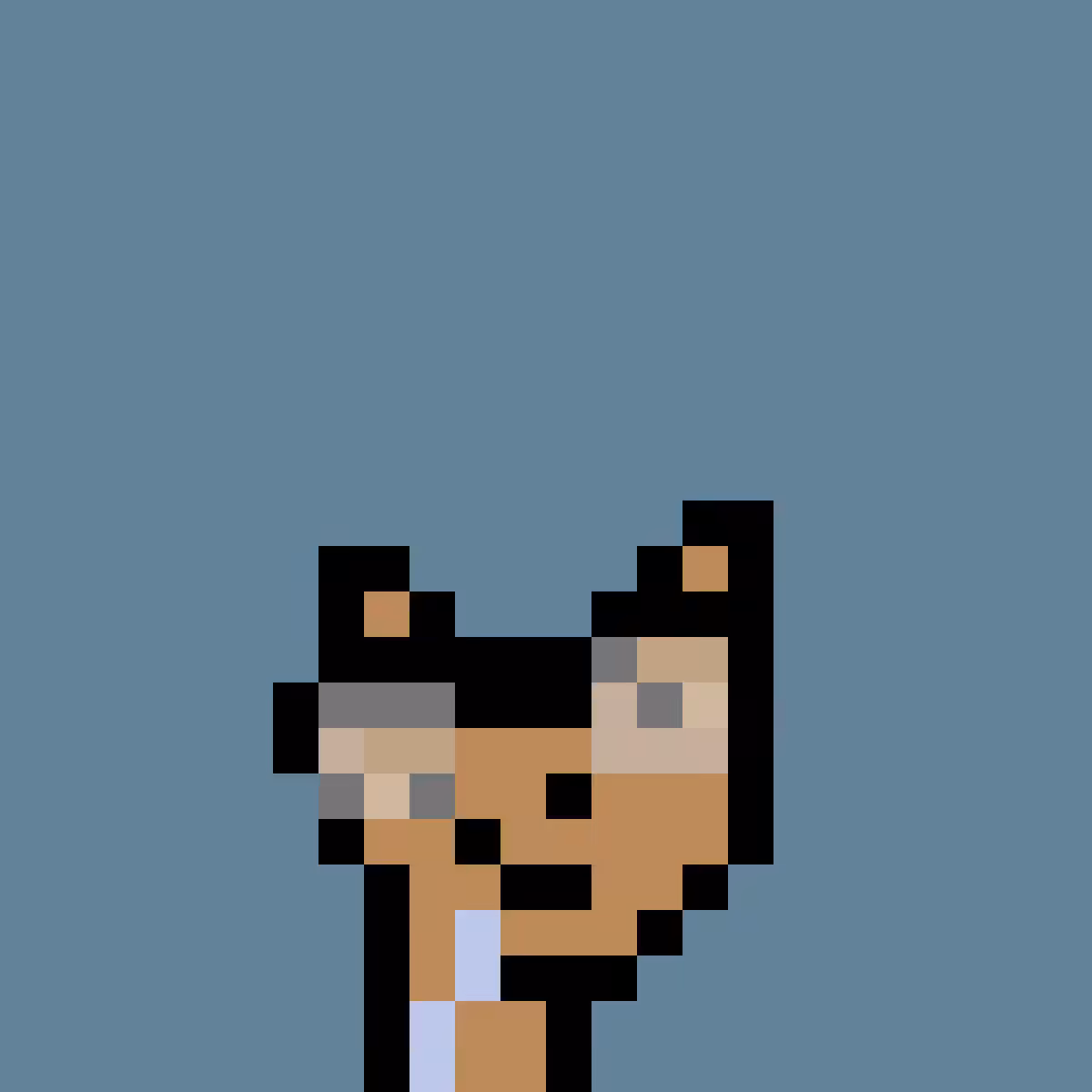PNUKS #497