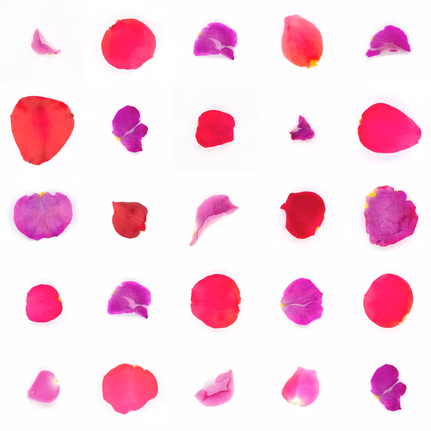 Infinite Petals 5x5#20455