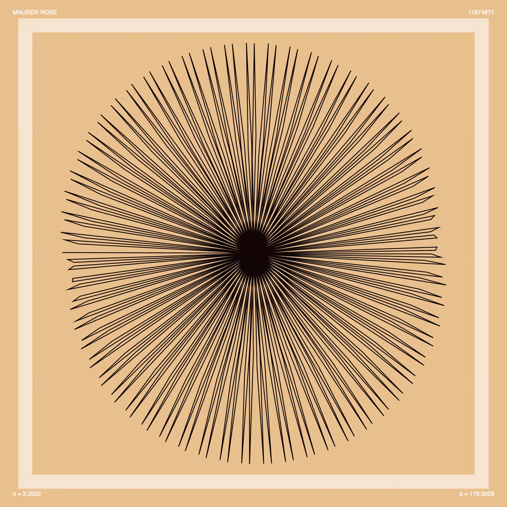Maurer Rose: Big Bang