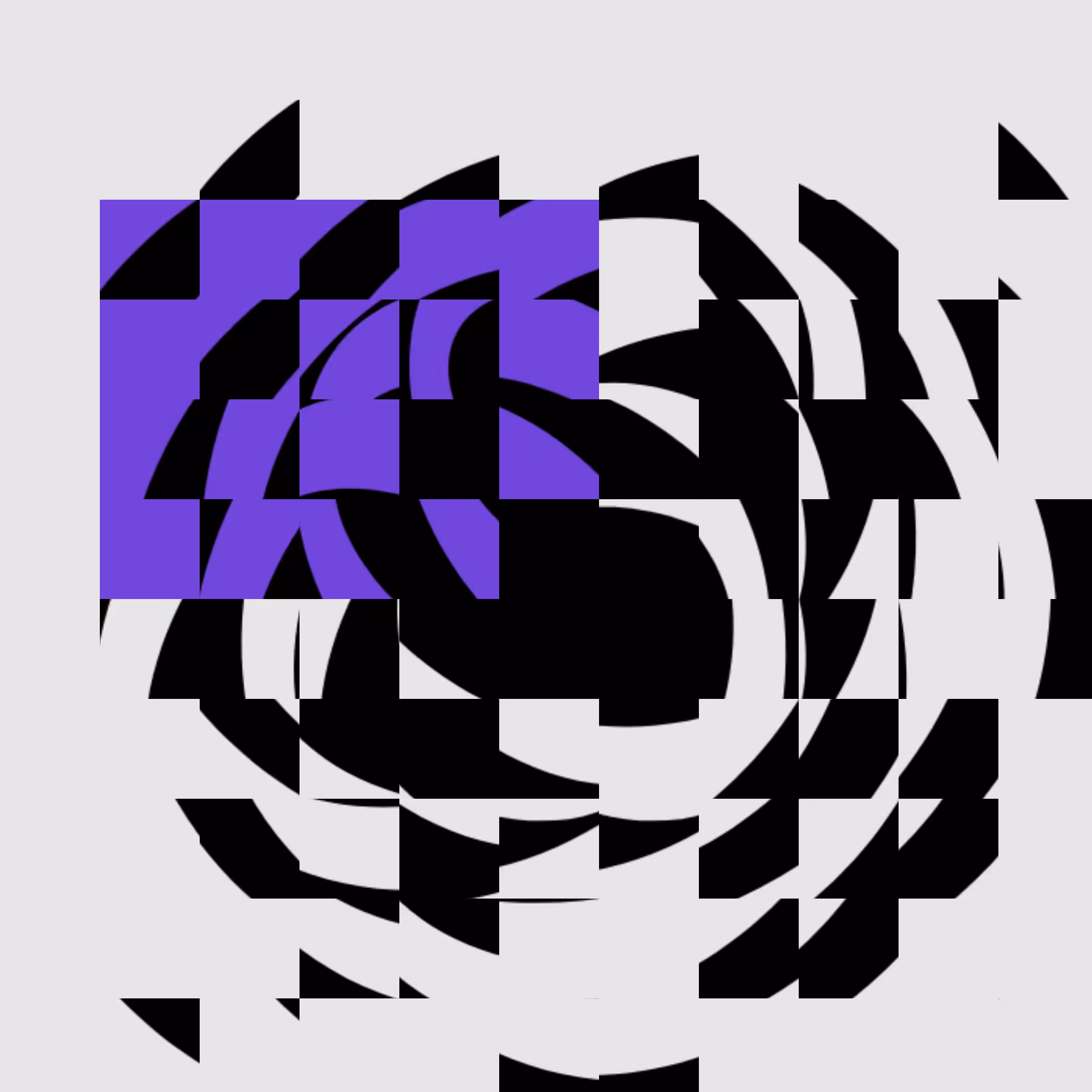 Fragment S2 #54