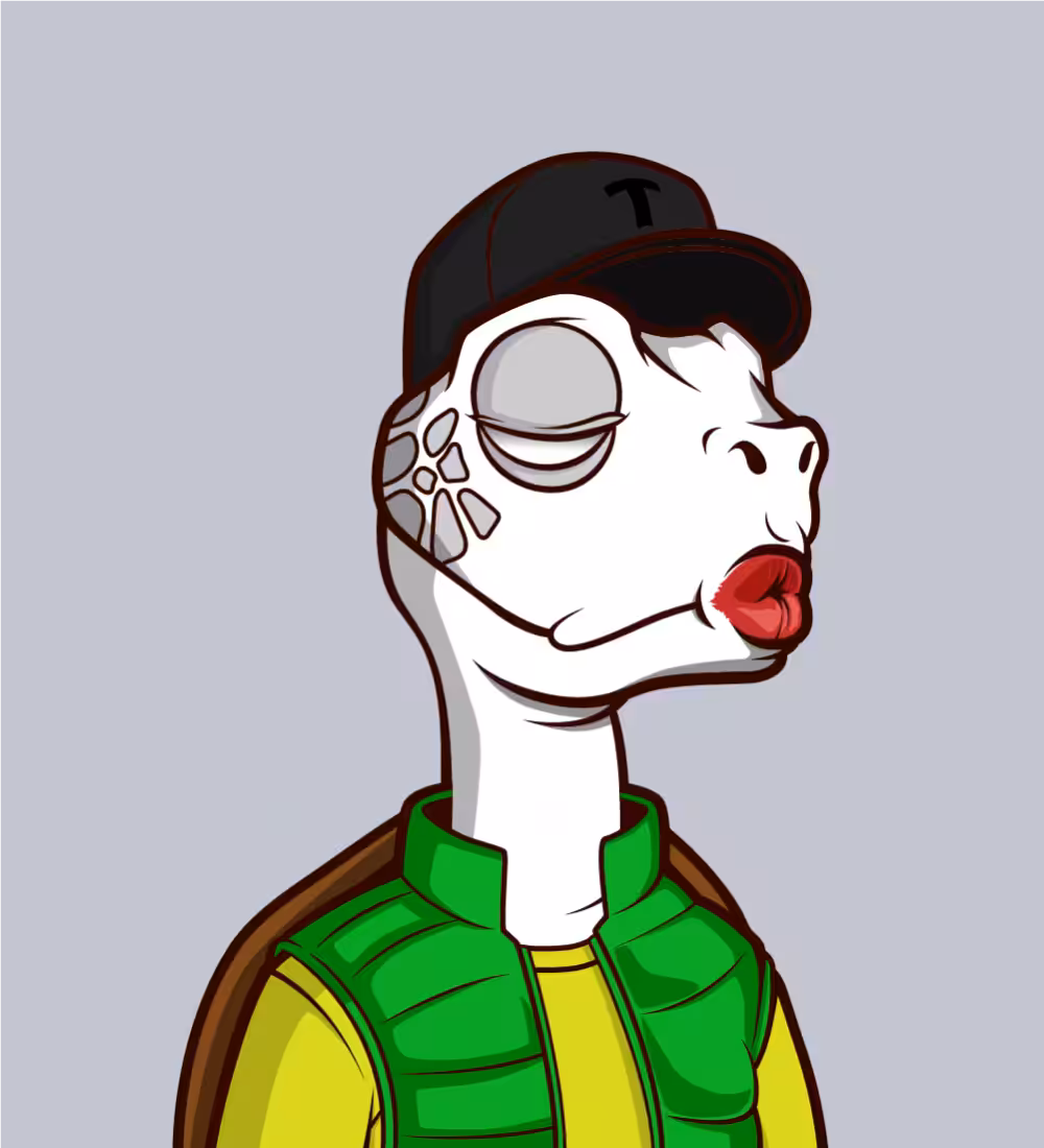 Tiny Turtle 27