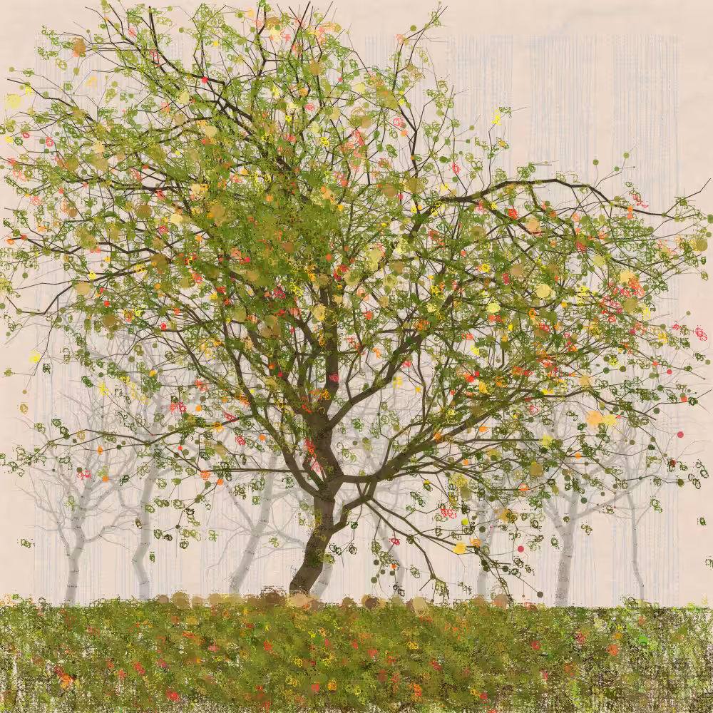 Orchard #82