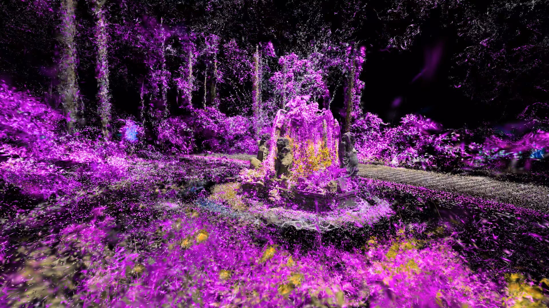 Purple Valley Beringin