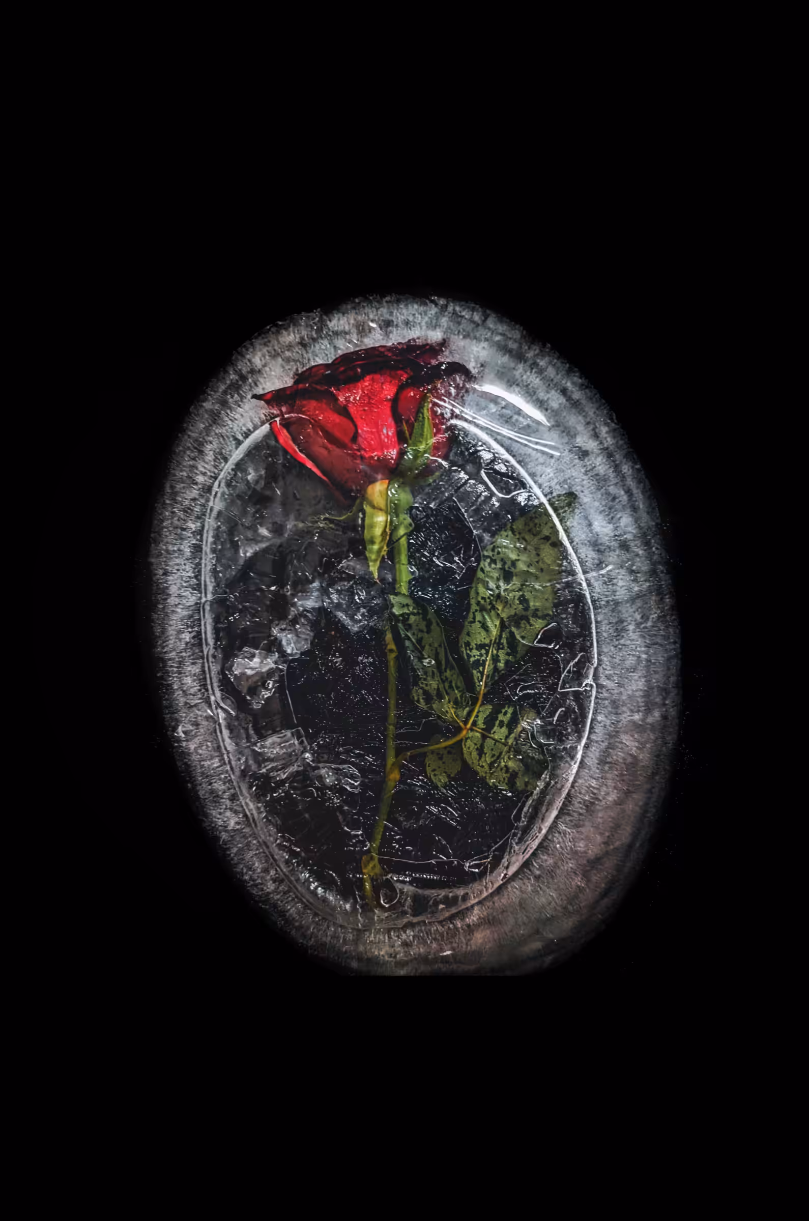 The Frozen Heart