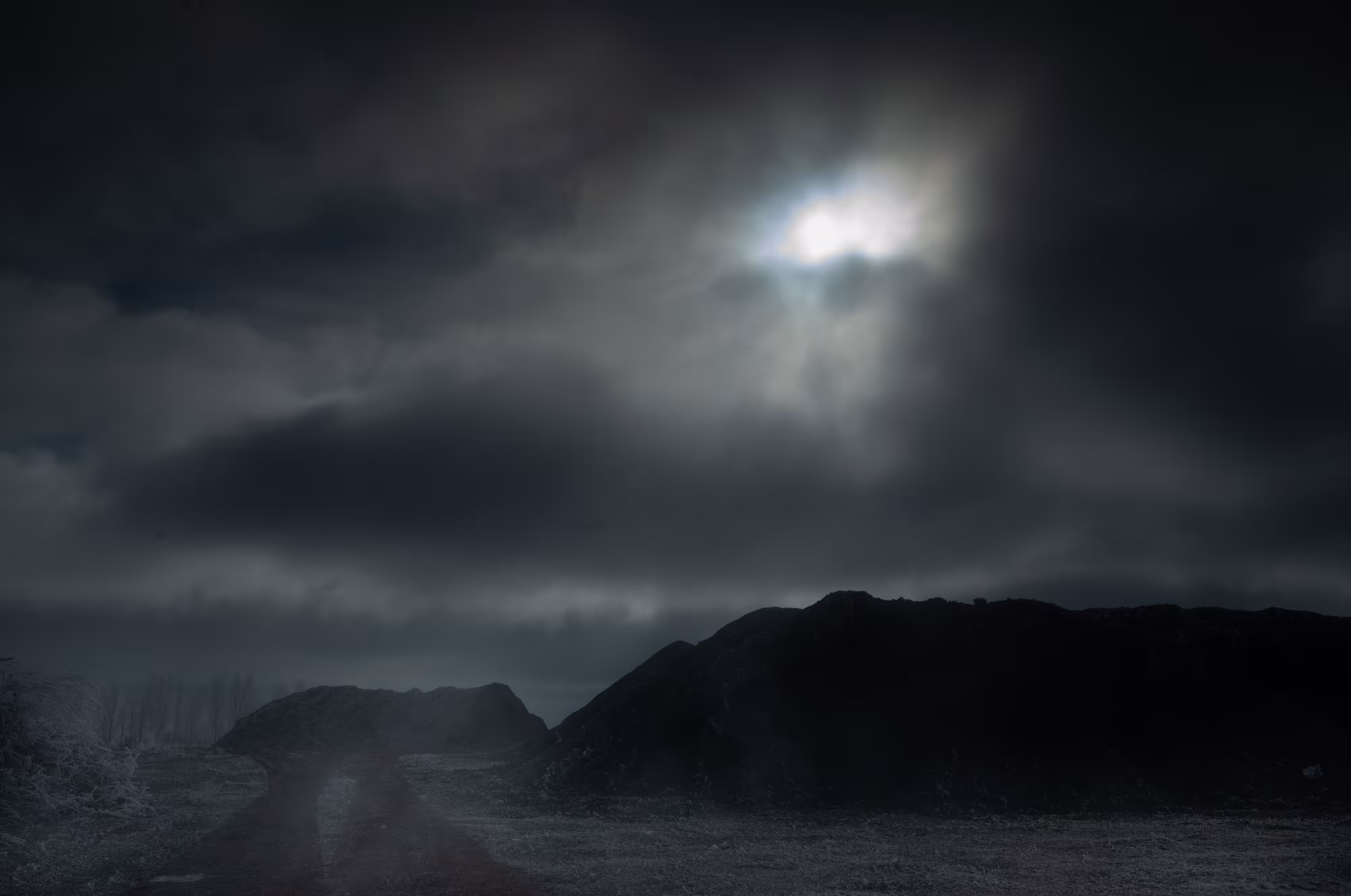The Black Mechanism #31 (Untitled 12043-4202) by Todd Hido
