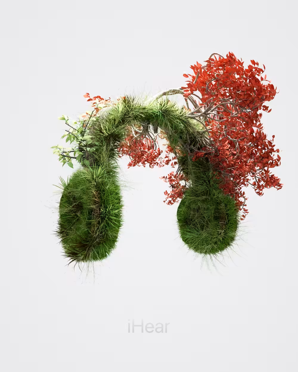 iHear