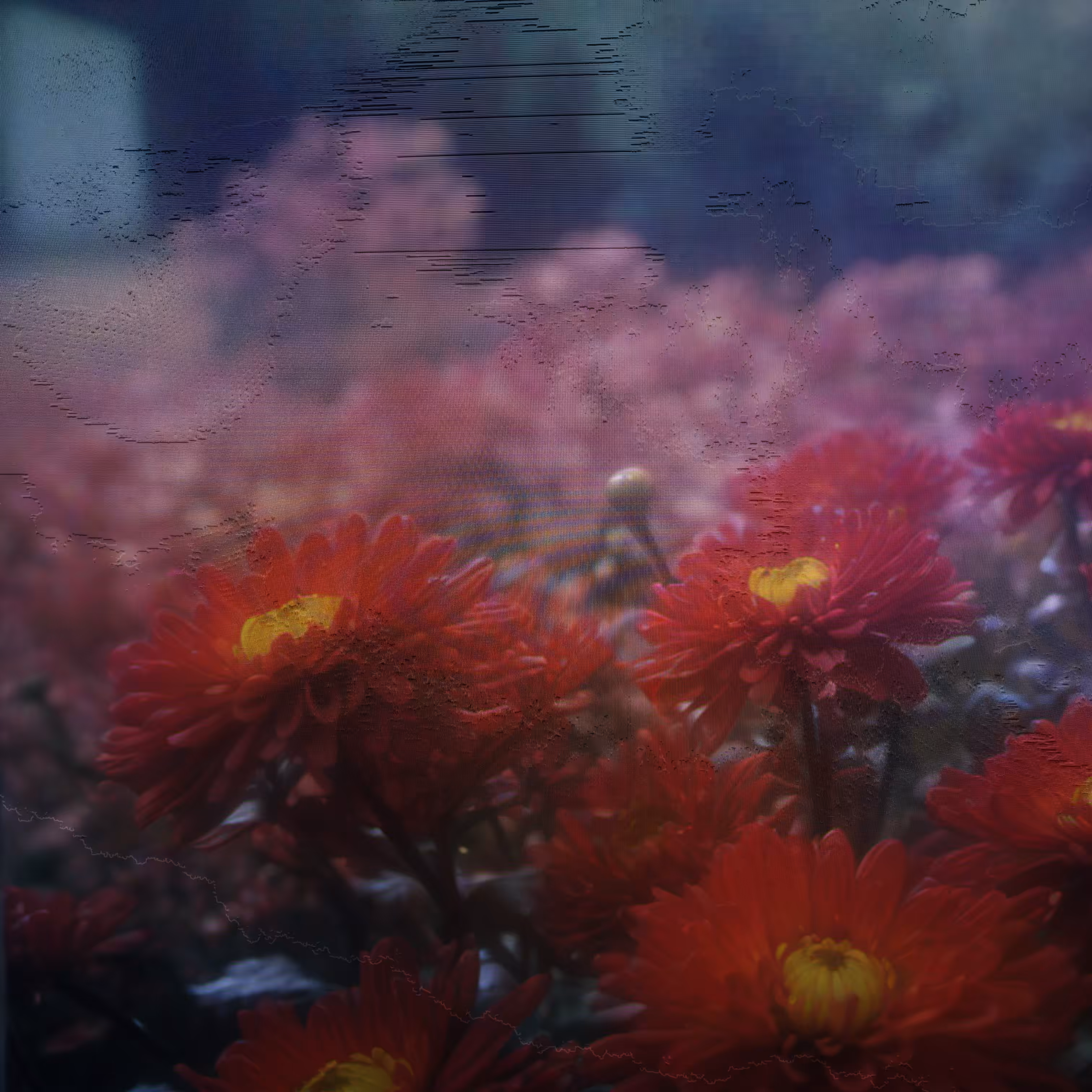 non-existent reminiscence II