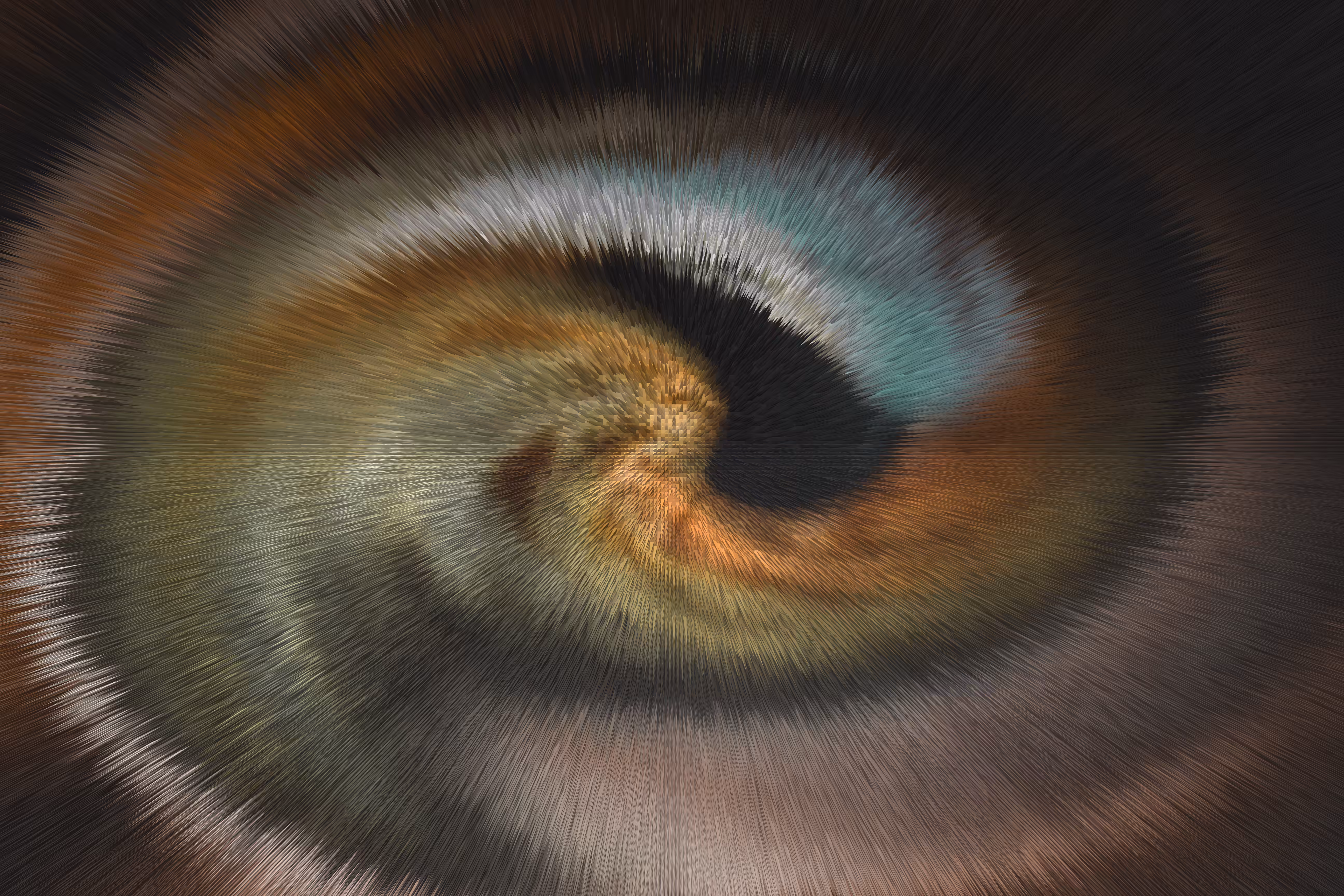 The Truest Eye