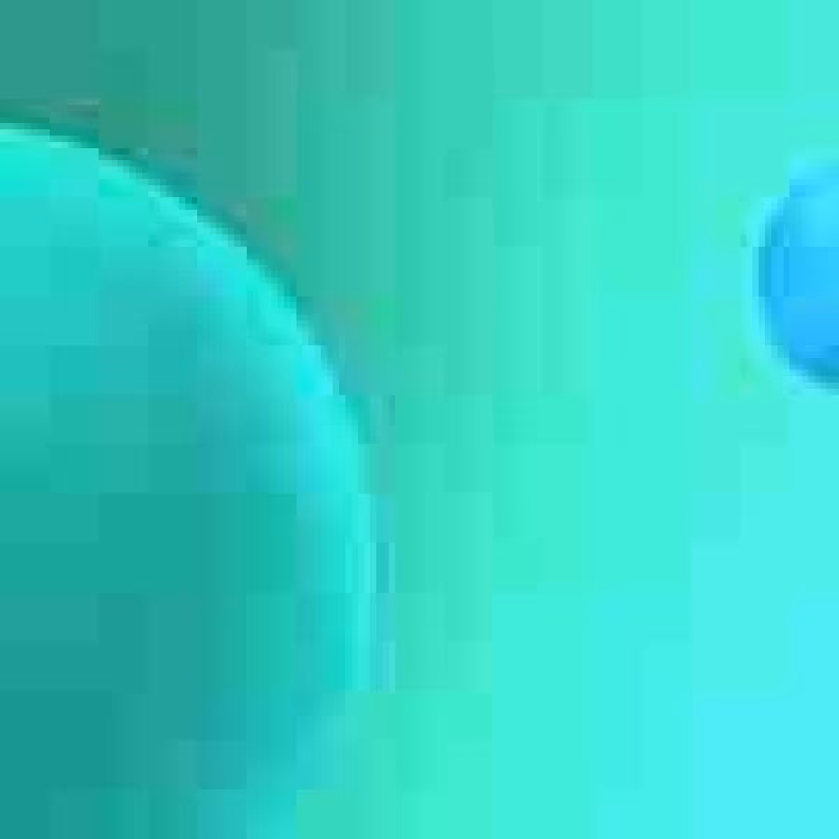 Orbit 242522829