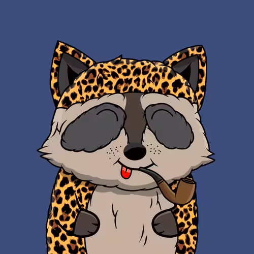 Charming Raccoons: Raccoon #79