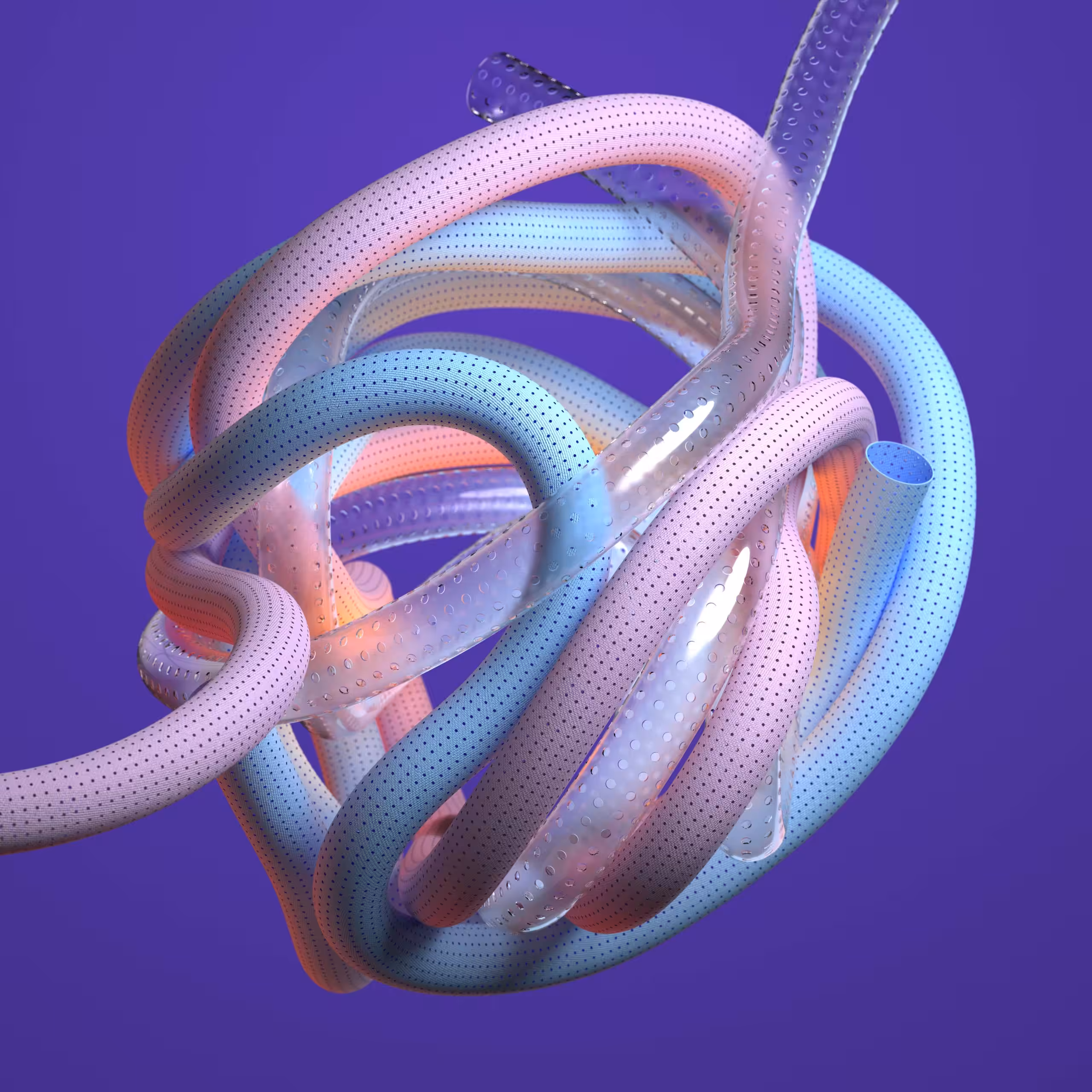 MY WIRED BRAIN