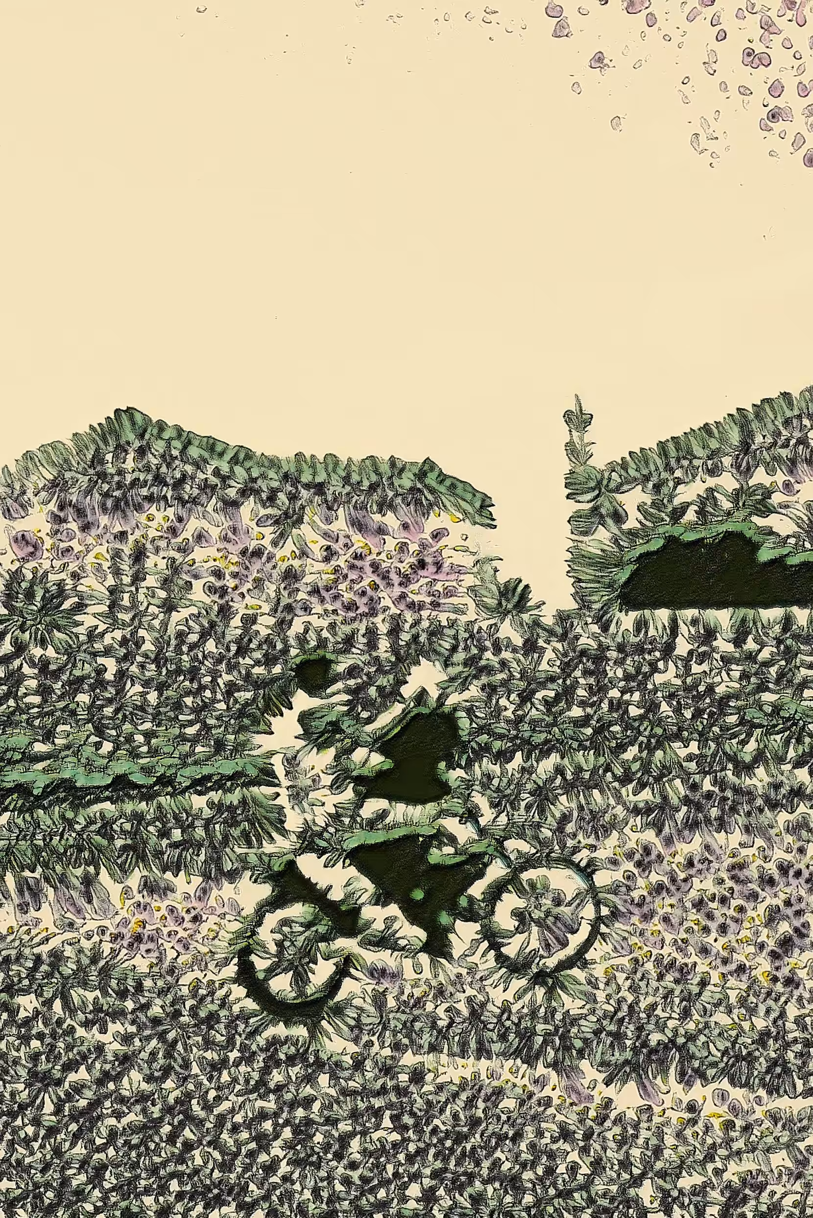 SUBURBAN DREAMSCAPE