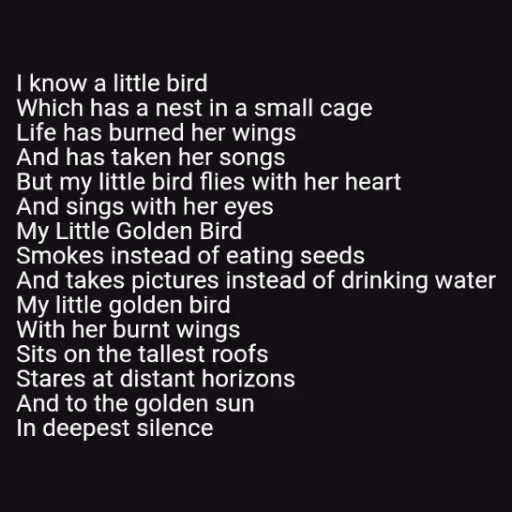 I know a little bird...