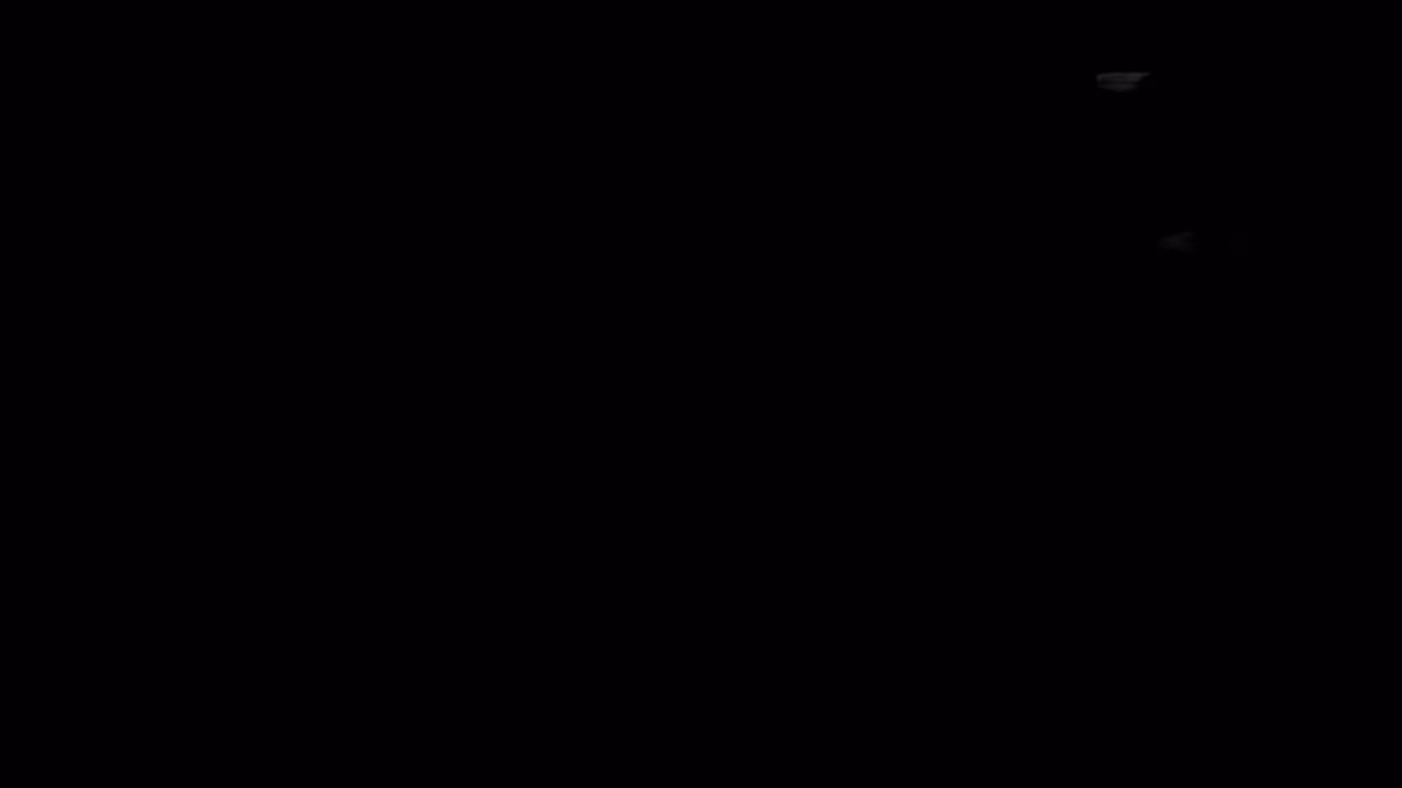 What FAAVI sees