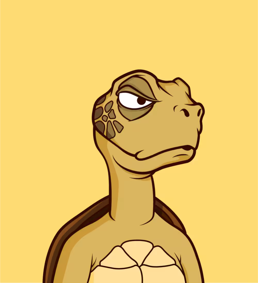 Tiny Turtle 63