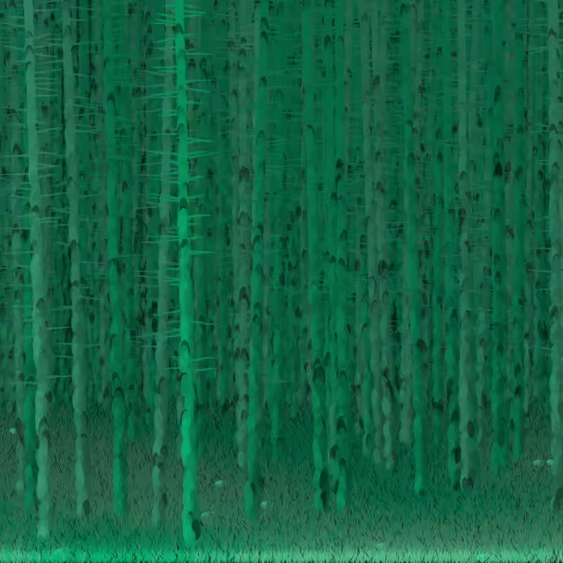 Berkenbos #9