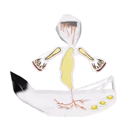 Kerok