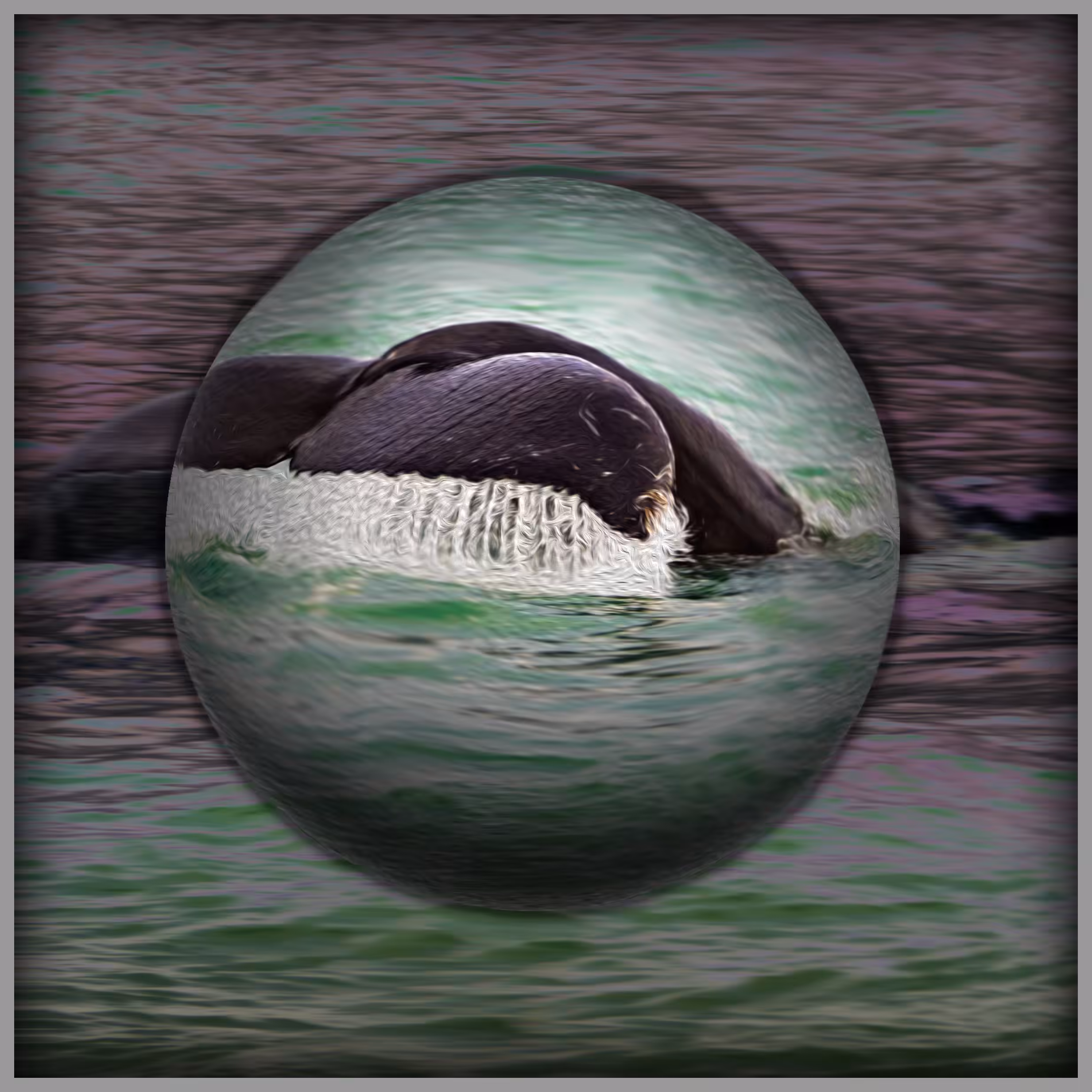 Animal Series No.1 - Whale
