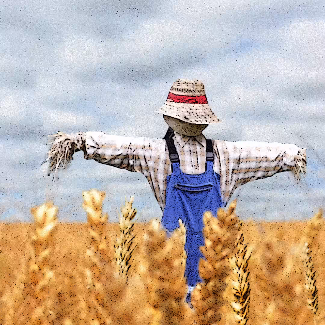 Crazy Farm 3