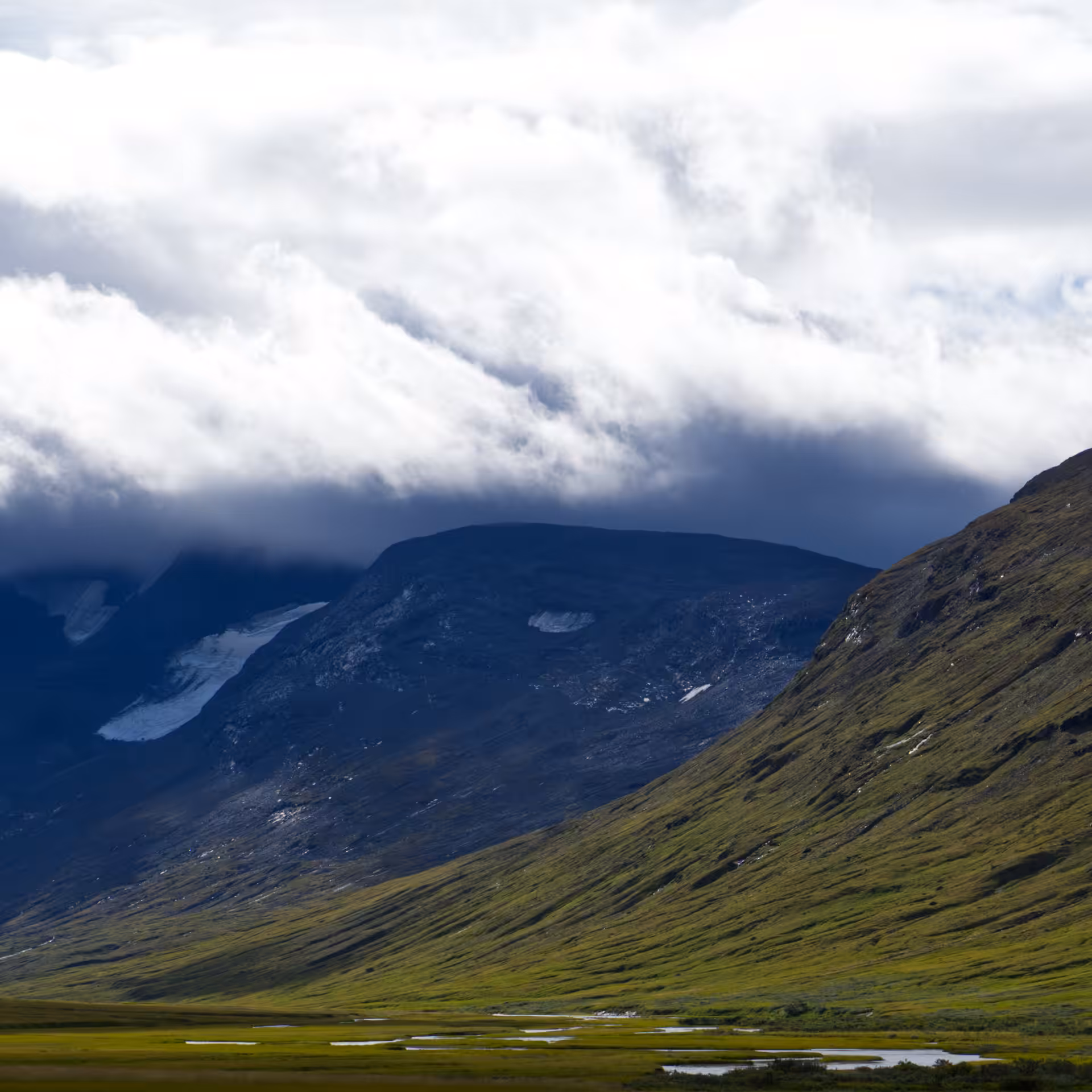 Fjällscape.11
