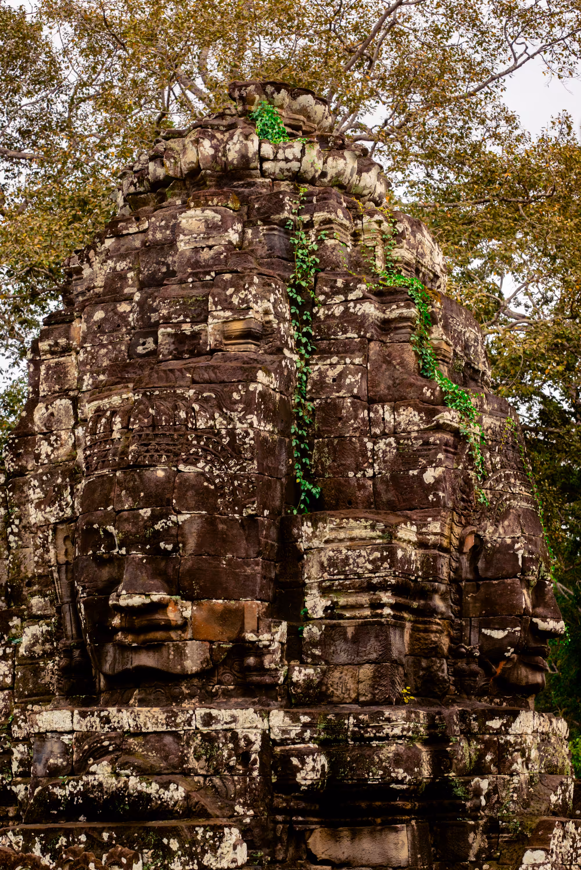 Faces of Angkor: Angkor #24