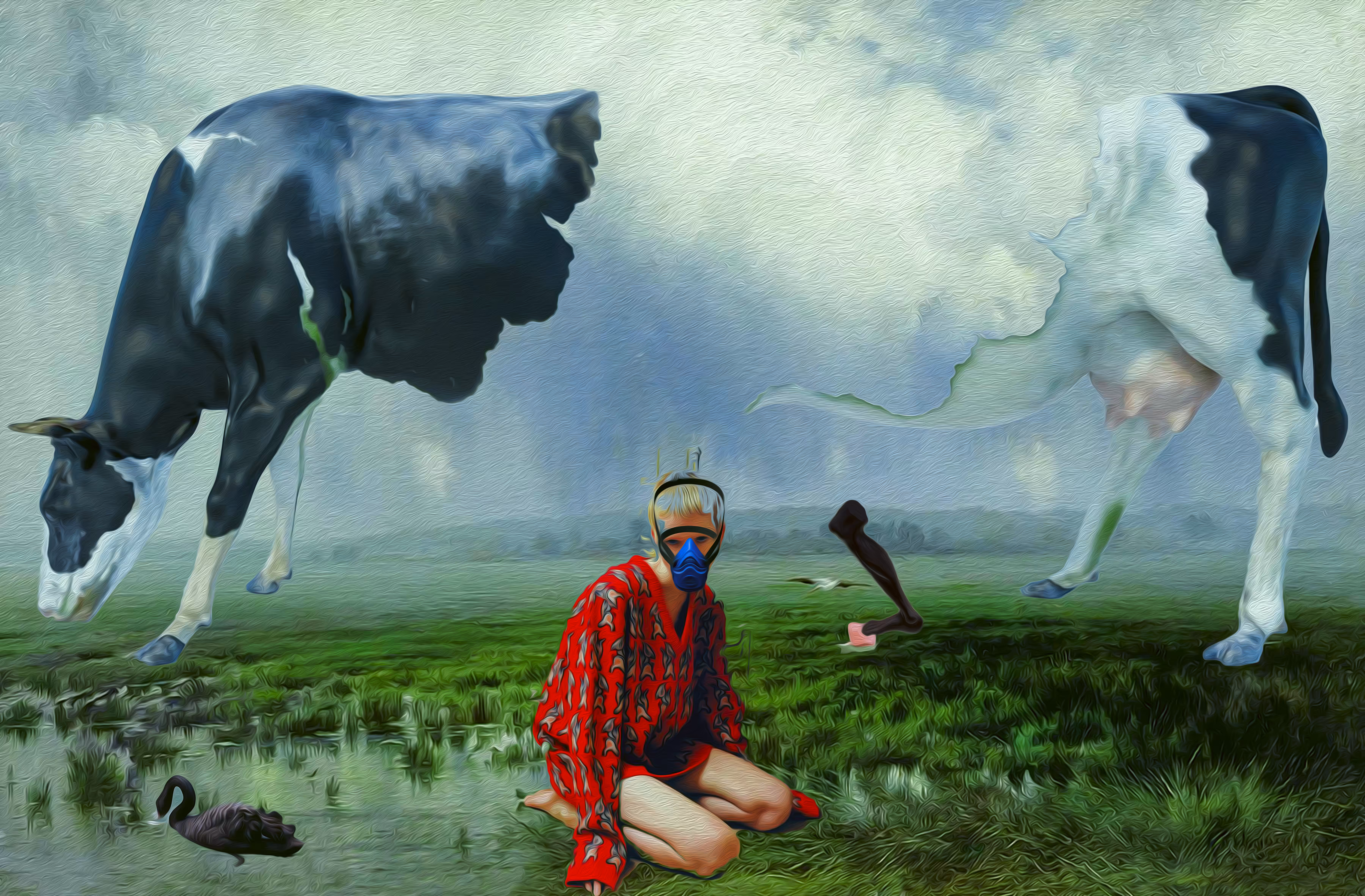 in the meadow